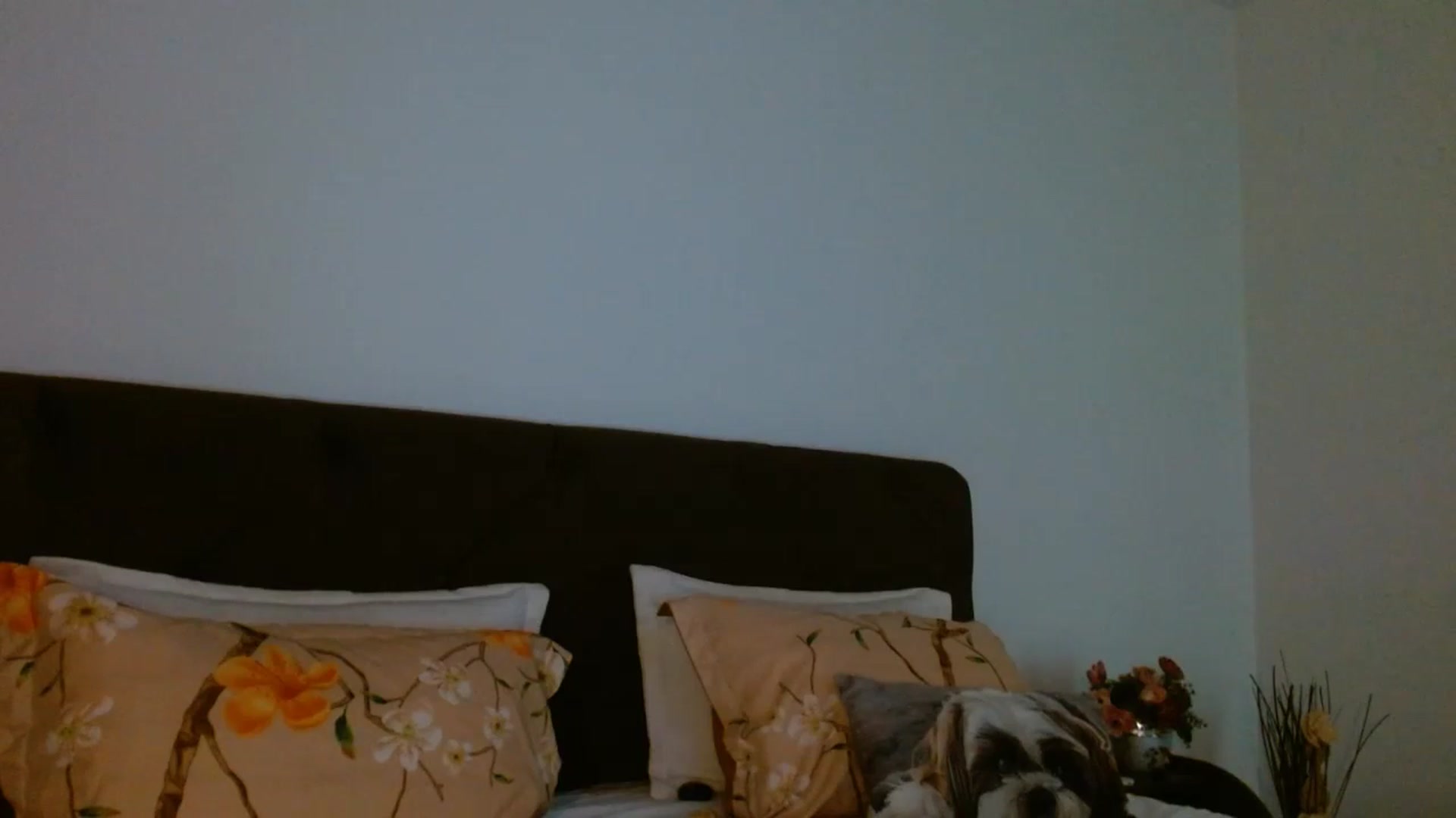Gallery image thumbnail from EROS____'s myfreecams stream on, 04/26/2026, 12:04 image 4 of 20