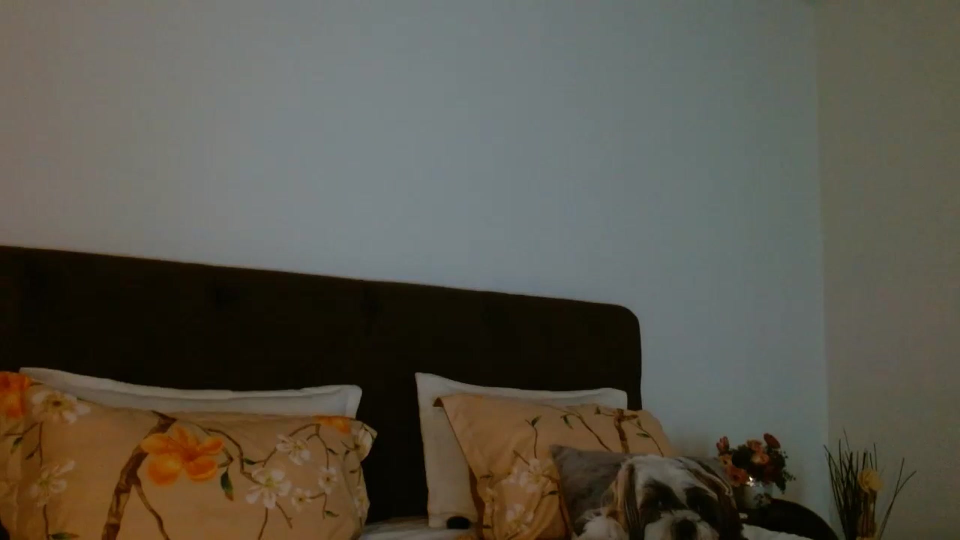 Gallery image thumbnail from EROS____'s myfreecams stream on, 04/26/2026, 12:04 image 7 of 20