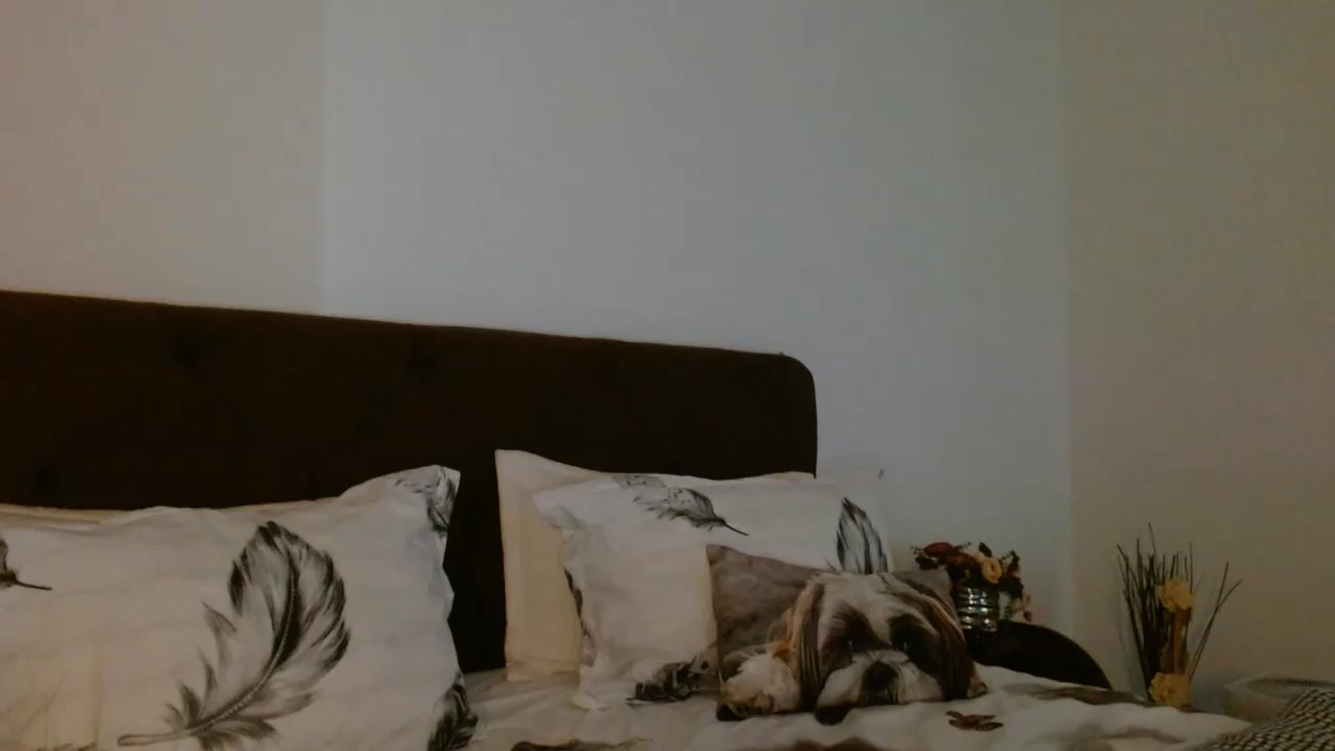 Gallery image thumbnail from EROS____'s myfreecams stream on, 05/24/2026, 10:19 image 16 of 20