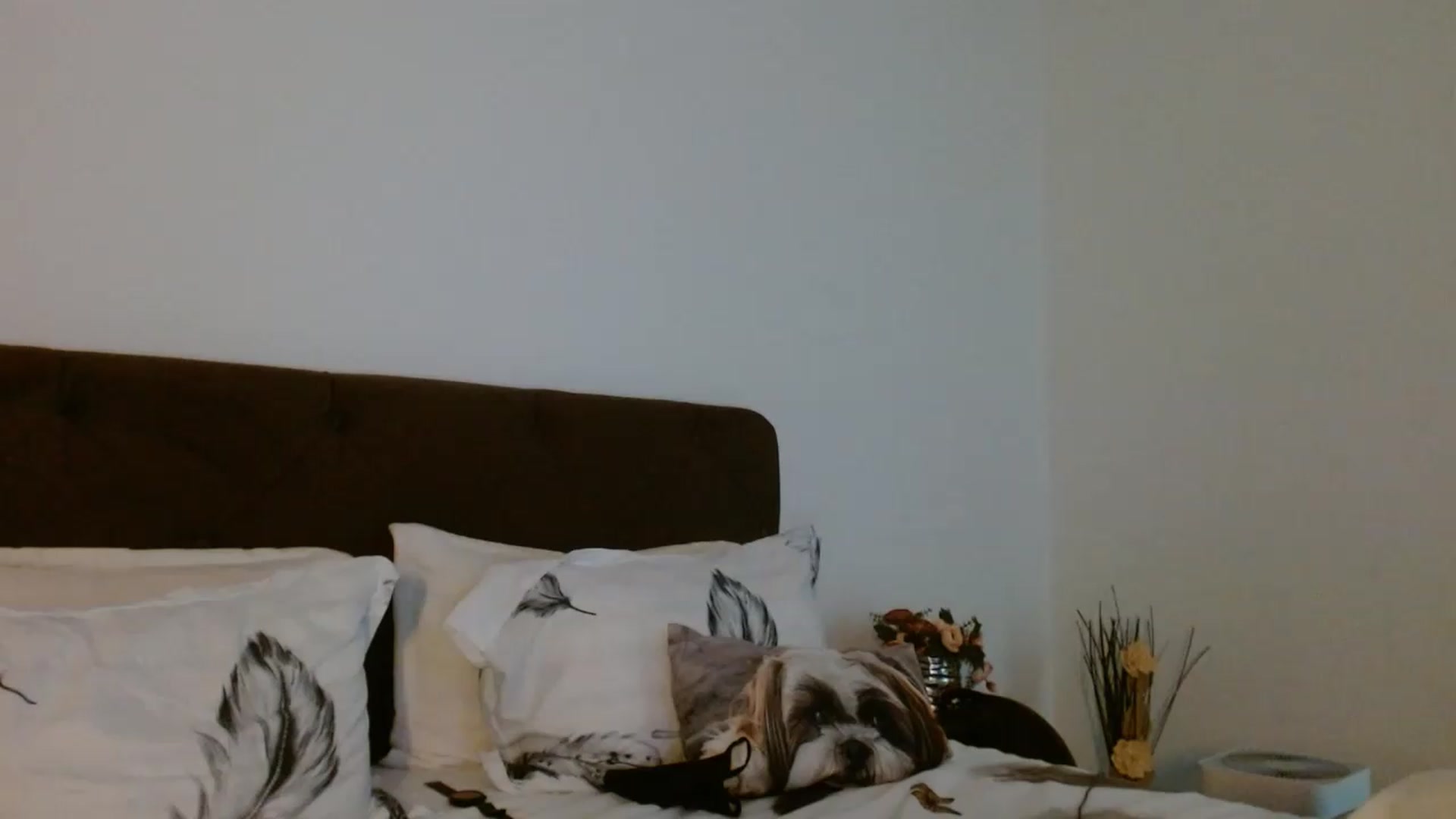 Gallery image thumbnail from EROS____'s myfreecams stream on, 05/30/2026, 11:14 image 12 of 20