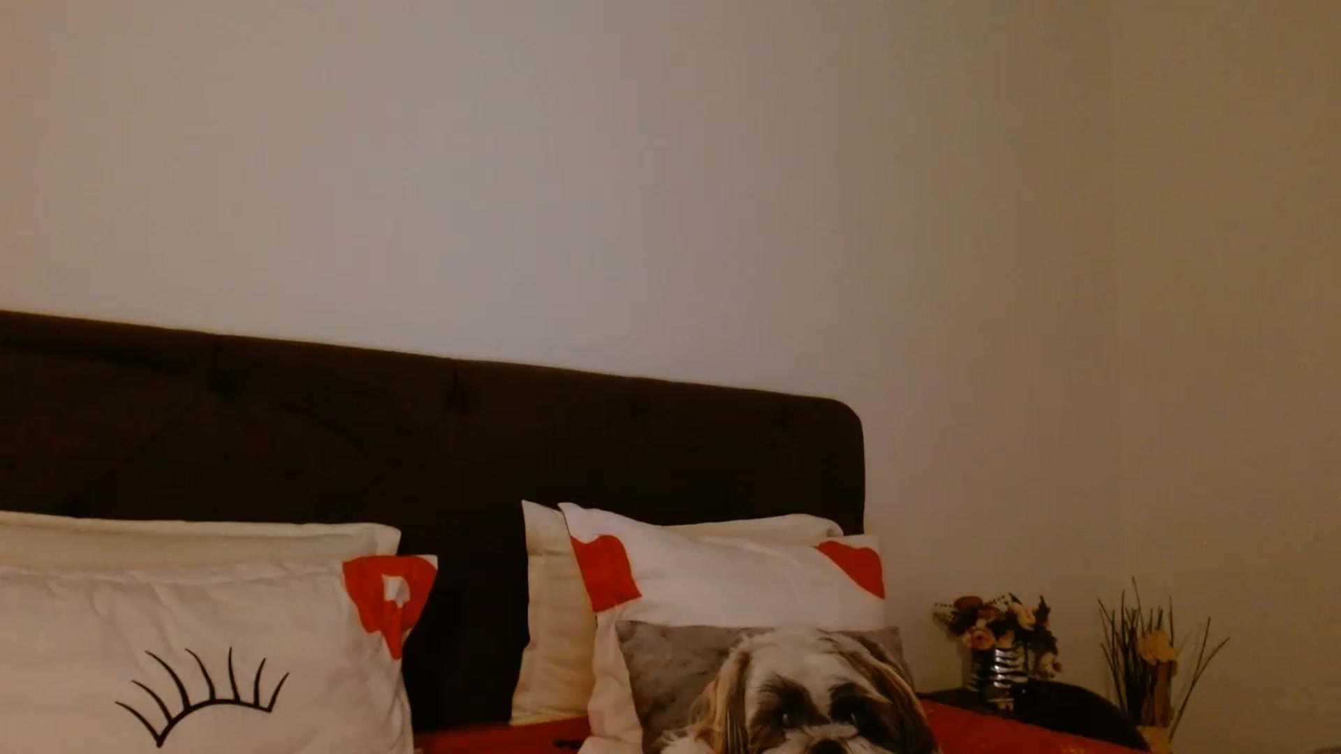 Gallery image thumbnail from EROS____'s myfreecams stream on, 07/04/2026, 11:38 image 8 of 20