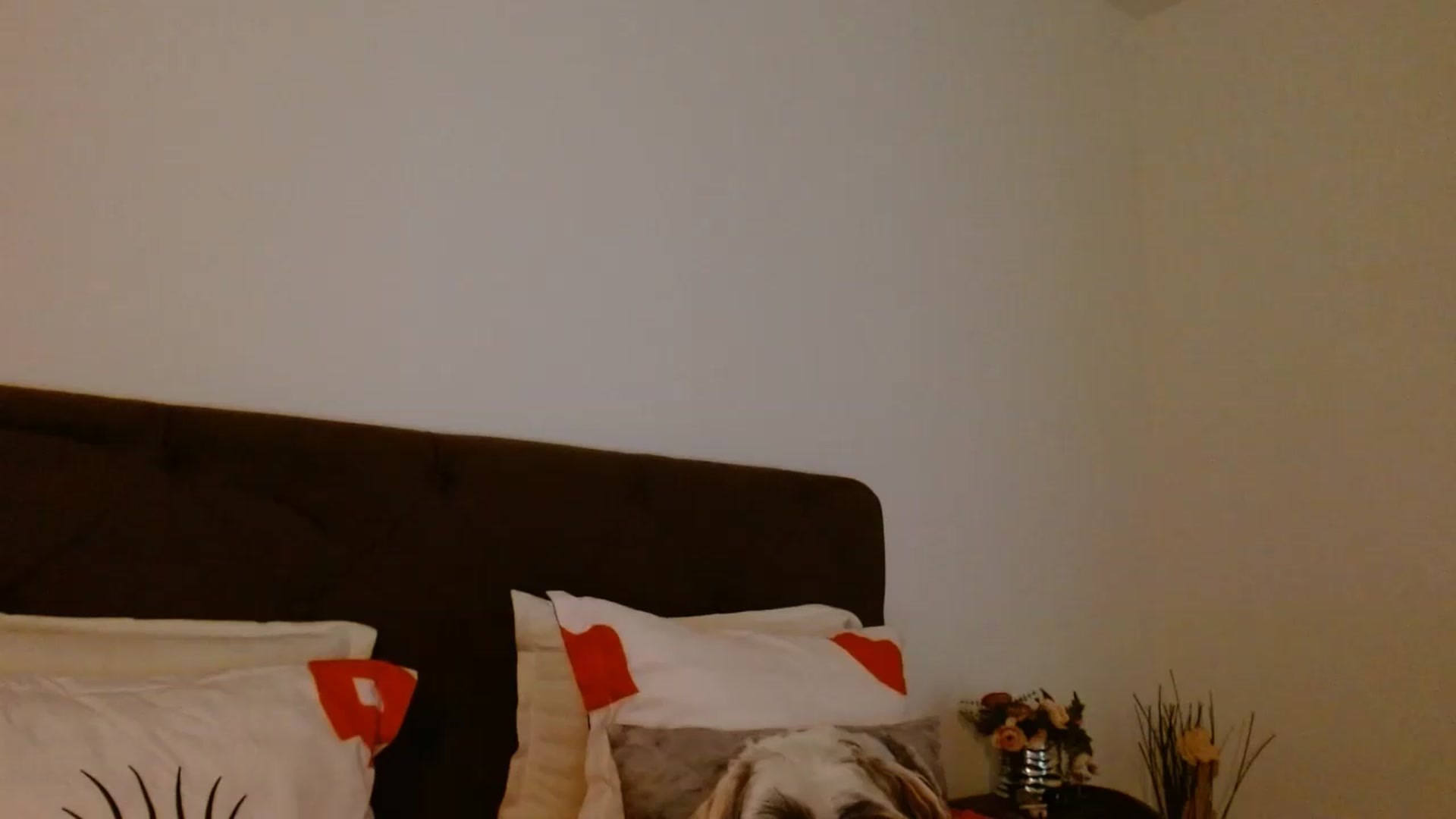 Gallery image thumbnail from EROS____'s myfreecams stream on, 07/04/2026, 12:28 image 2 of 20