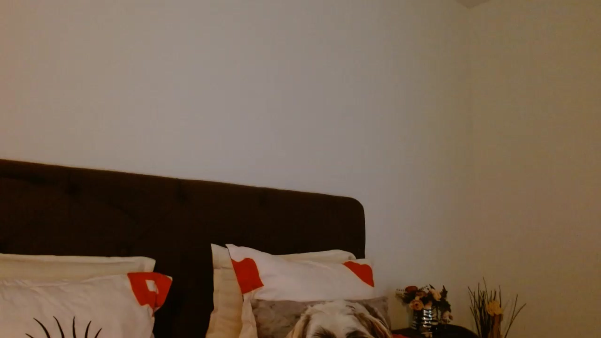Gallery image thumbnail from EROS____'s myfreecams stream on, 07/04/2026, 12:28 image 5 of 20