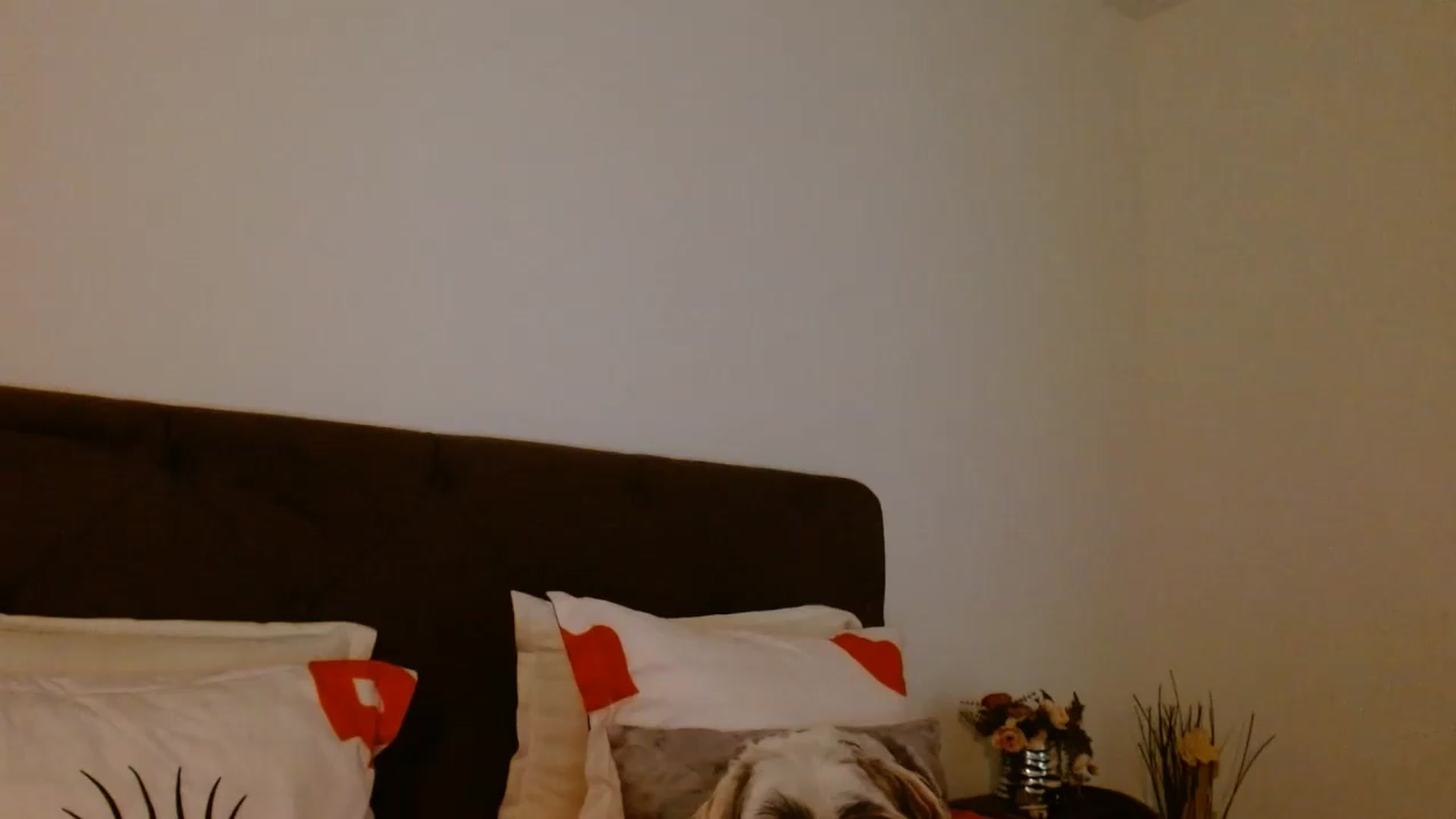 Gallery image thumbnail from EROS____'s myfreecams stream on, 07/04/2026, 12:28 image 6 of 20