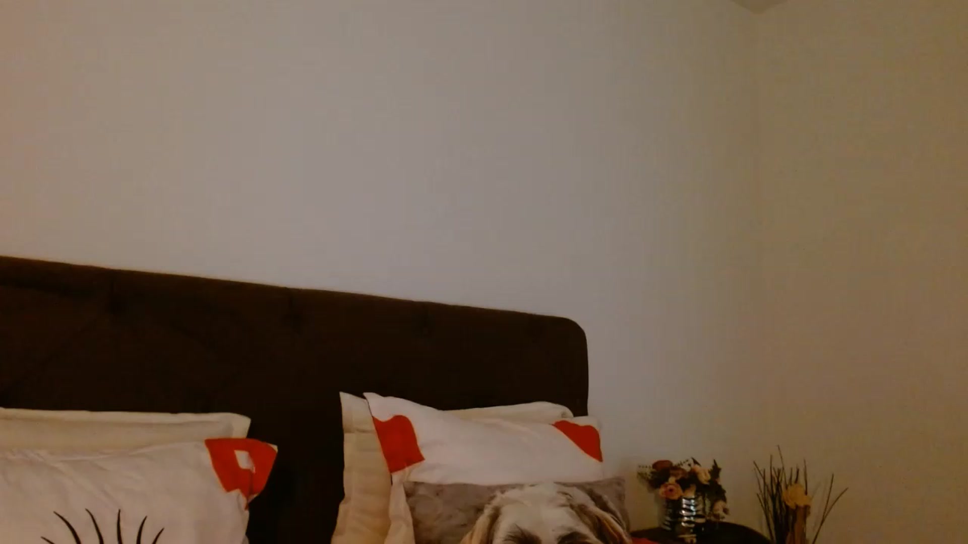 Gallery image thumbnail from EROS____'s myfreecams stream on, 07/04/2026, 12:28 image 4 of 20