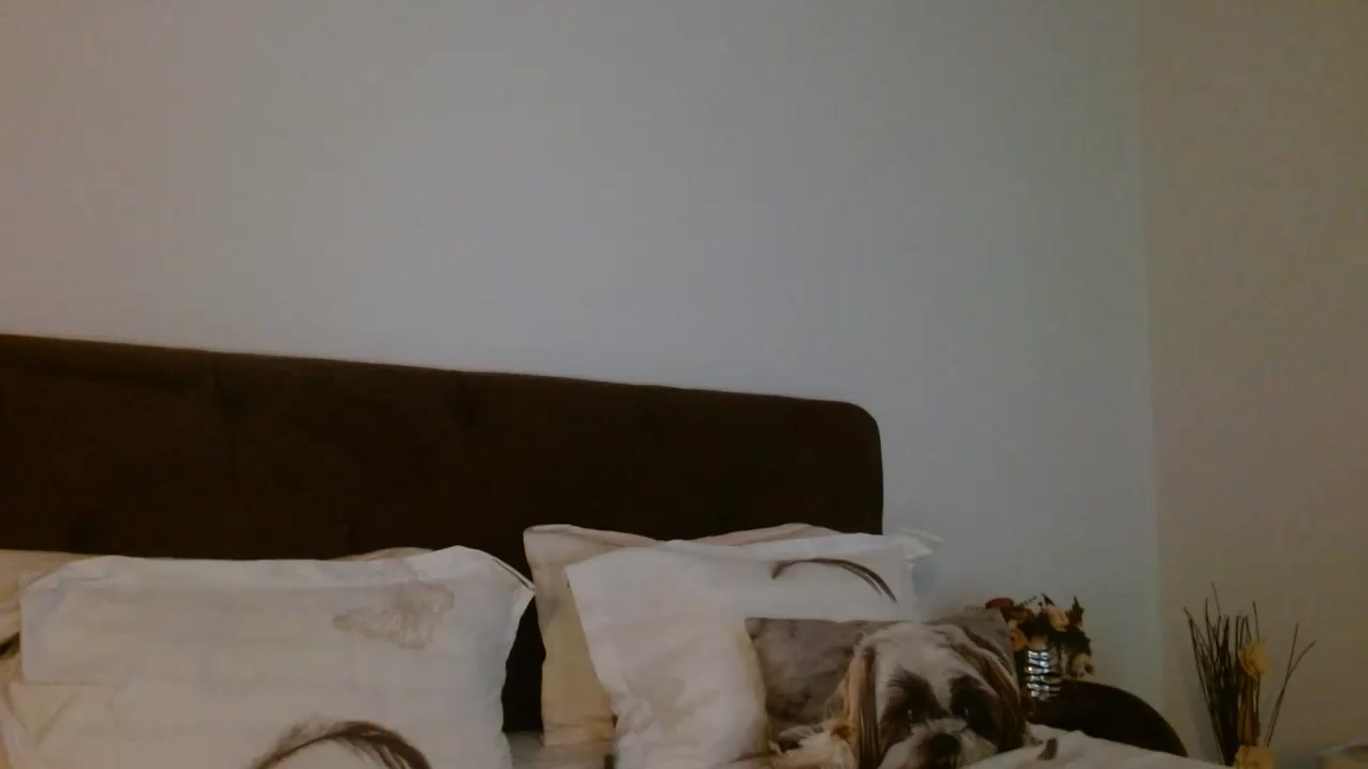 Gallery image thumbnail from EROS____'s myfreecams stream on, 07/26/2026, 11:33 image 8 of 20