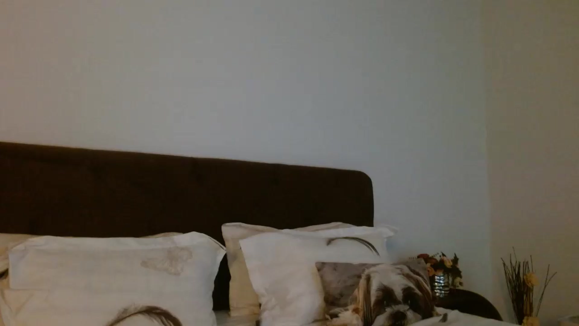 Gallery image thumbnail from EROS____'s myfreecams stream on, 07/26/2026, 11:33 image 10 of 20