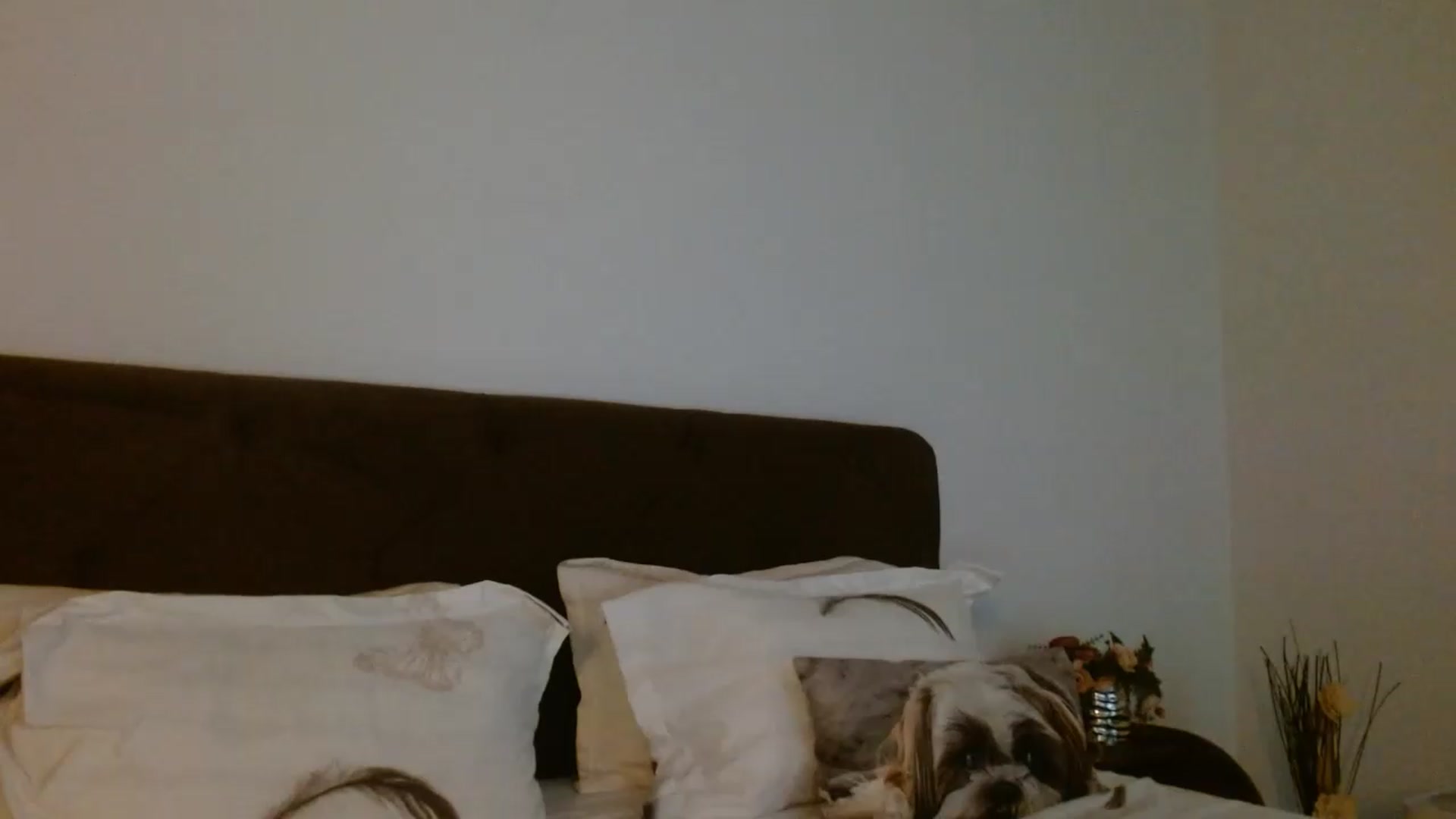 Gallery image thumbnail from EROS____'s myfreecams stream on, 07/26/2026, 11:33 image 7 of 20