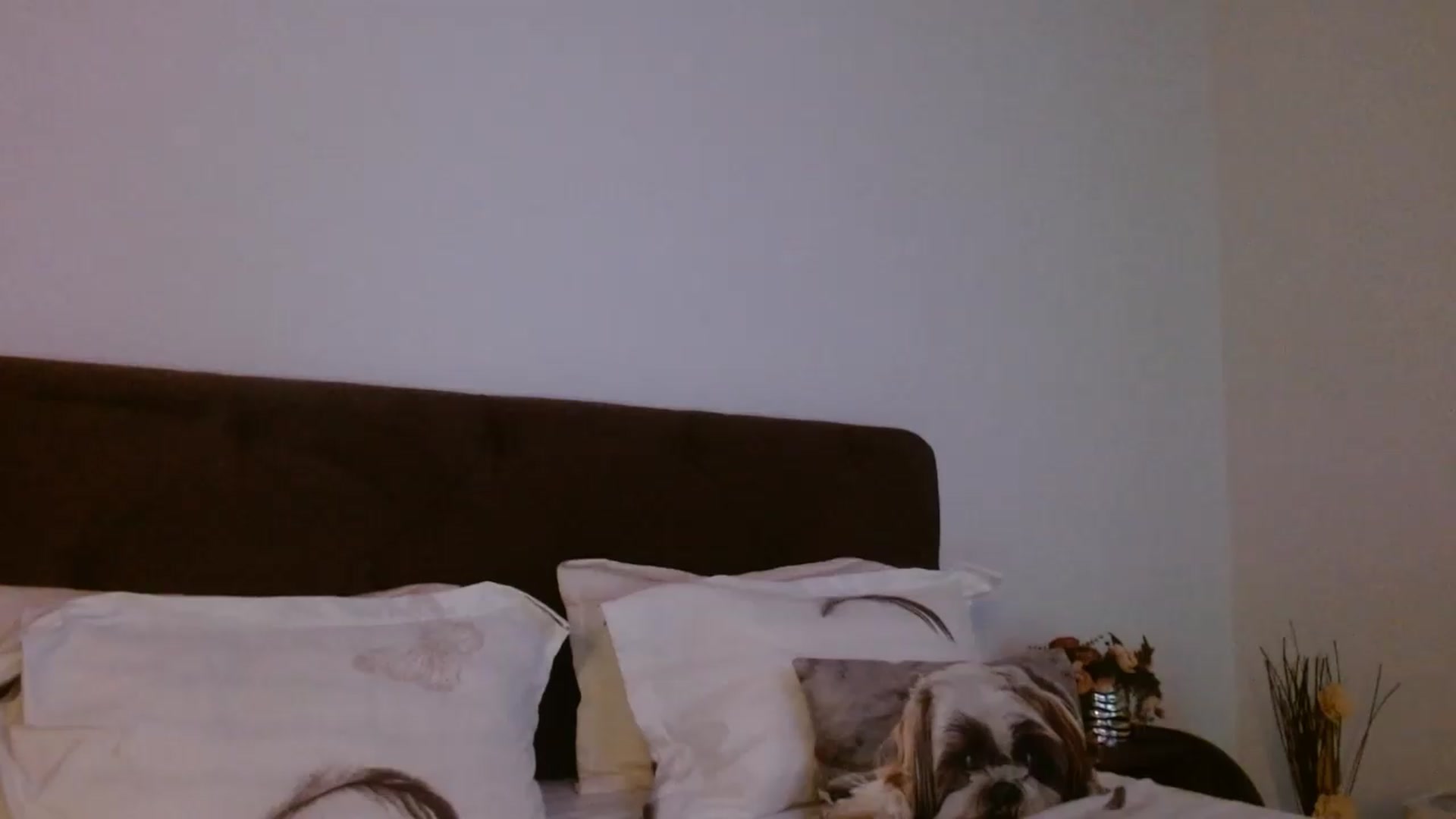 Gallery image thumbnail from EROS____'s myfreecams stream on, 07/26/2026, 11:33 image 9 of 20
