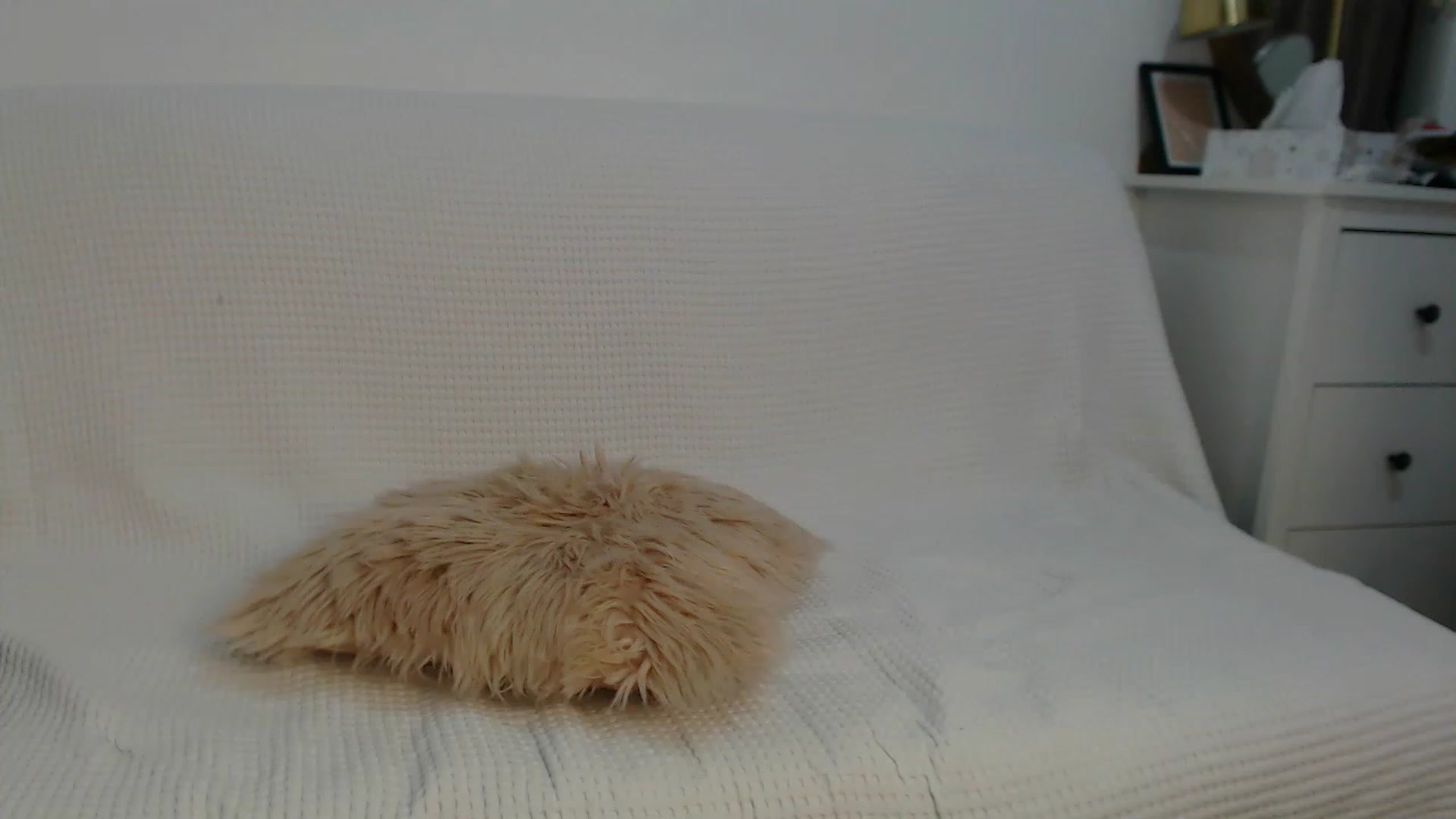 Gallery image thumbnail from E_V_A___'s myfreecams stream on, 01/05/2024, 23:47 image 1 of 20