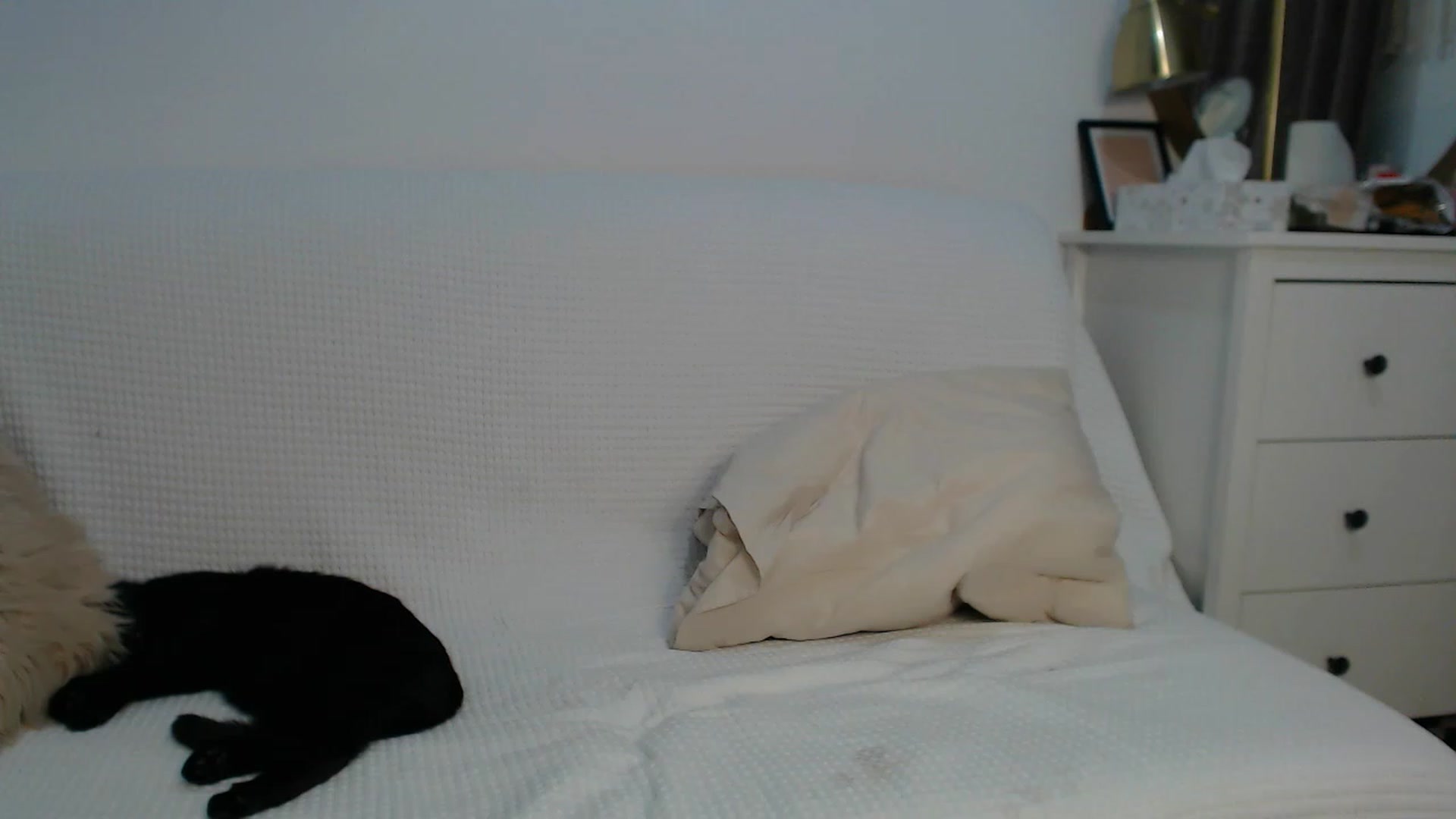 Gallery image thumbnail from E_V_A___'s myfreecams stream on, 01/10/2024, 06:20 image 14 of 20