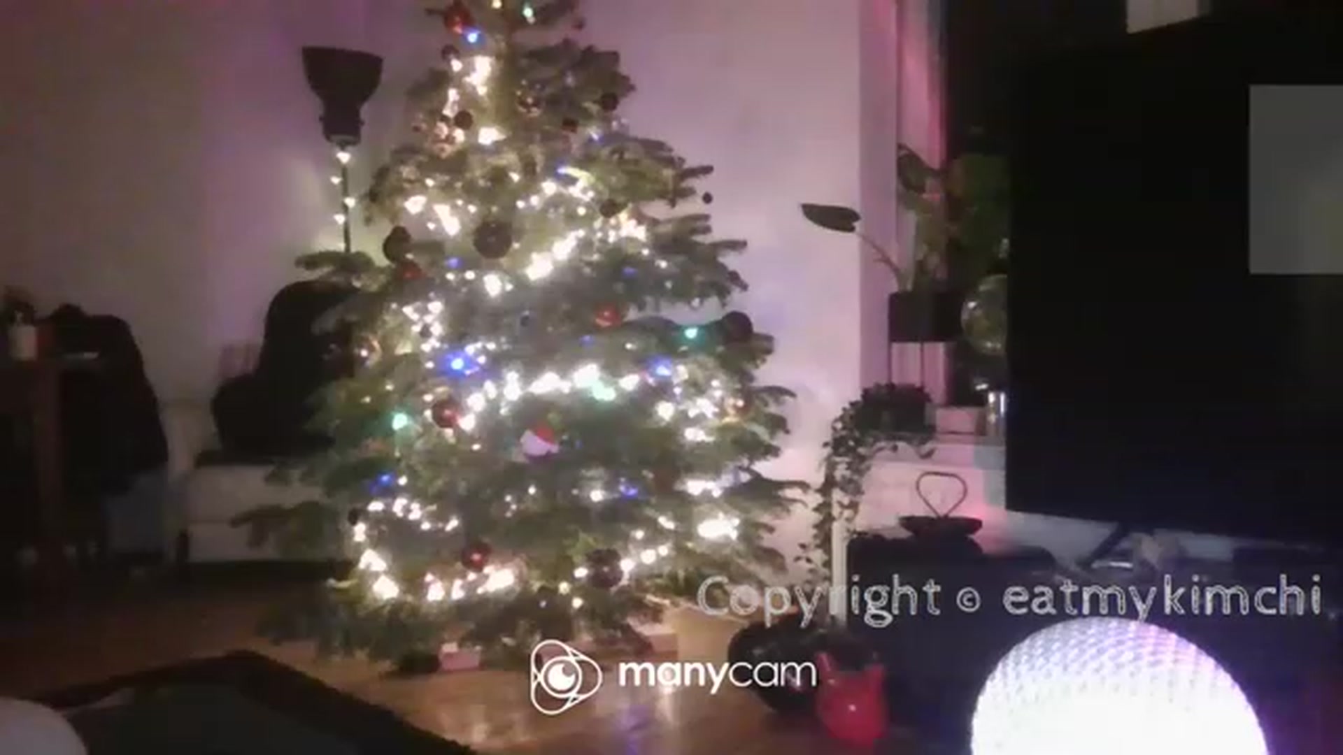 Gallery image thumbnail from EatMyKimchi's myfreecams stream on, 12/29/2022, 17:11 image 13 of 20