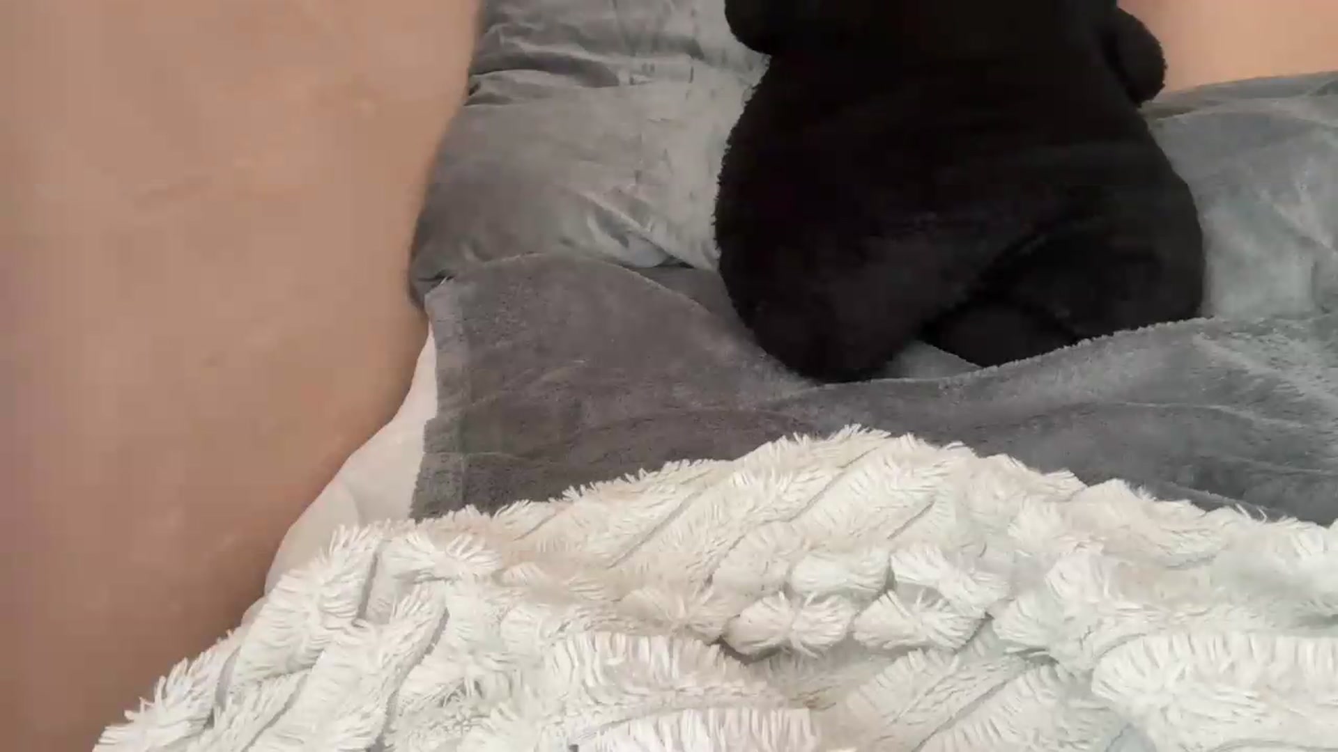 Gallery image thumbnail from EchidnaHeart's myfreecams stream on, 06/09/2026, 11:55 image 15 of 20