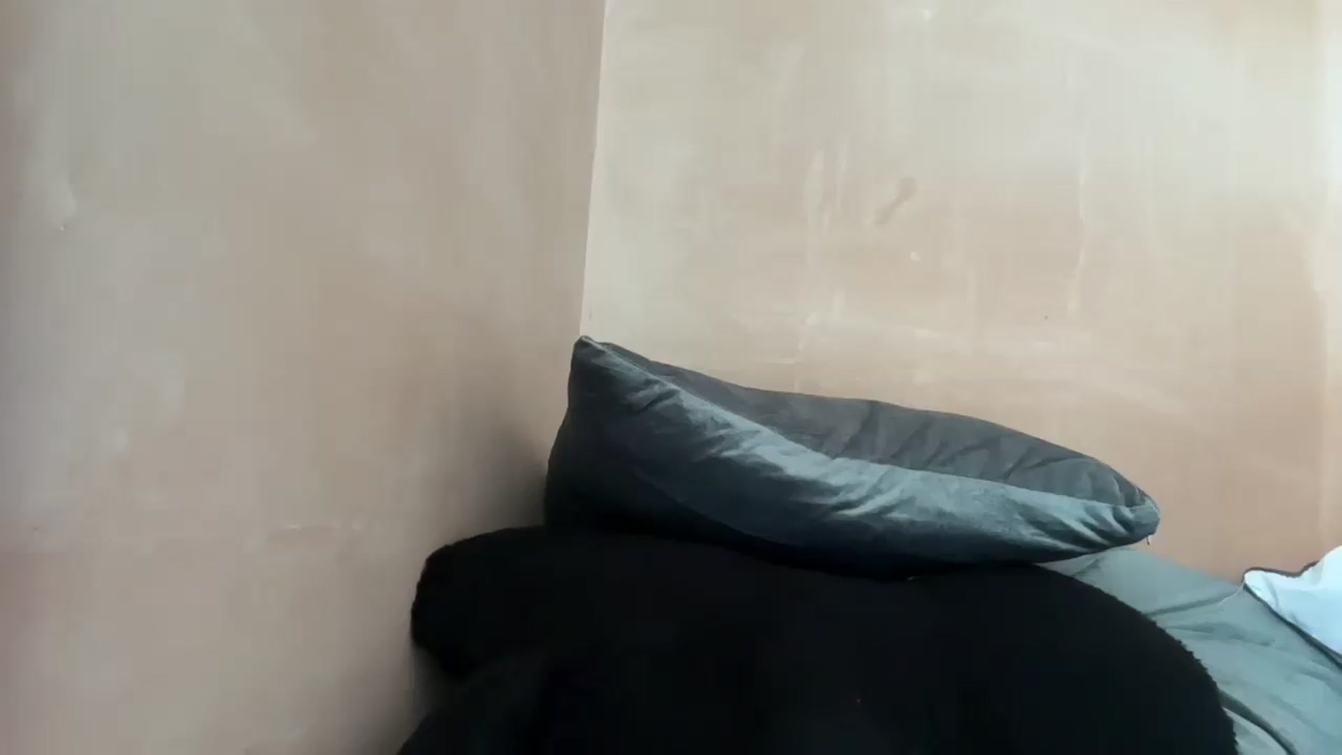 Gallery image thumbnail from EchidnaHeart's myfreecams stream on, 06/10/2026, 16:40 image 15 of 20