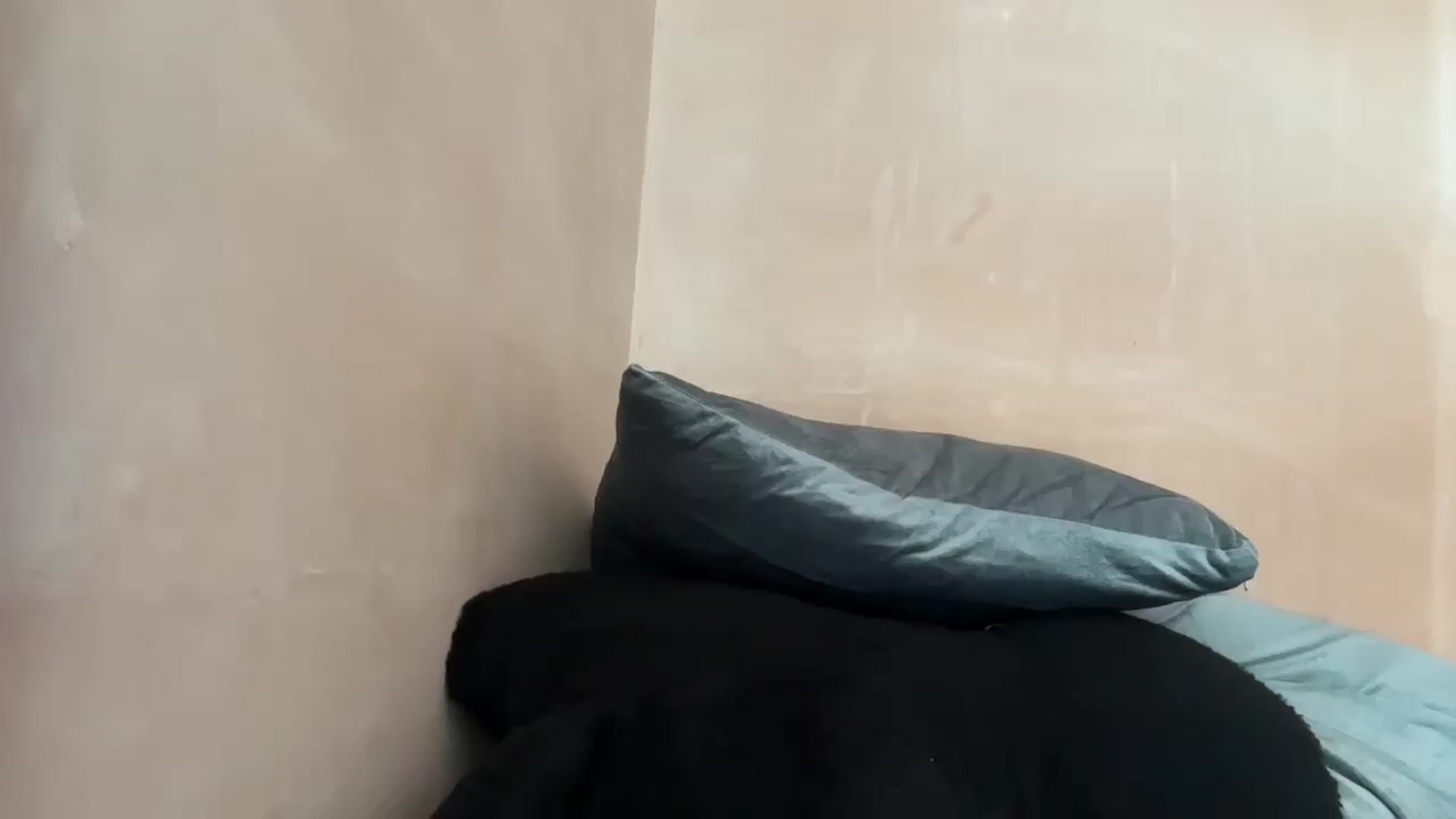 Gallery image thumbnail from EchidnaHeart's myfreecams stream on, 06/10/2026, 16:40 image 14 of 20