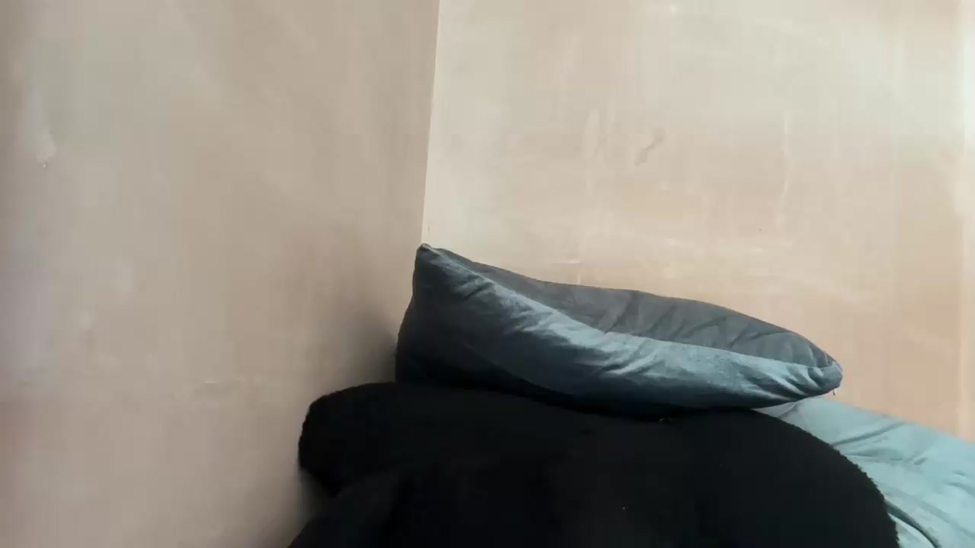Gallery image thumbnail from EchidnaHeart's myfreecams stream on, 06/10/2026, 16:40 image 13 of 20