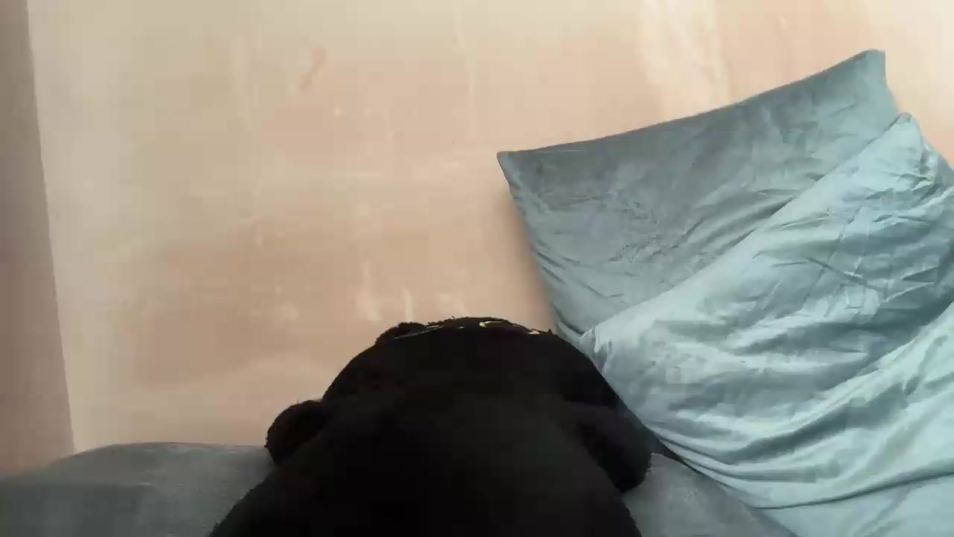 Gallery image thumbnail from EchidnaHeart's myfreecams stream on, 06/15/2026, 08:17 image 16 of 20