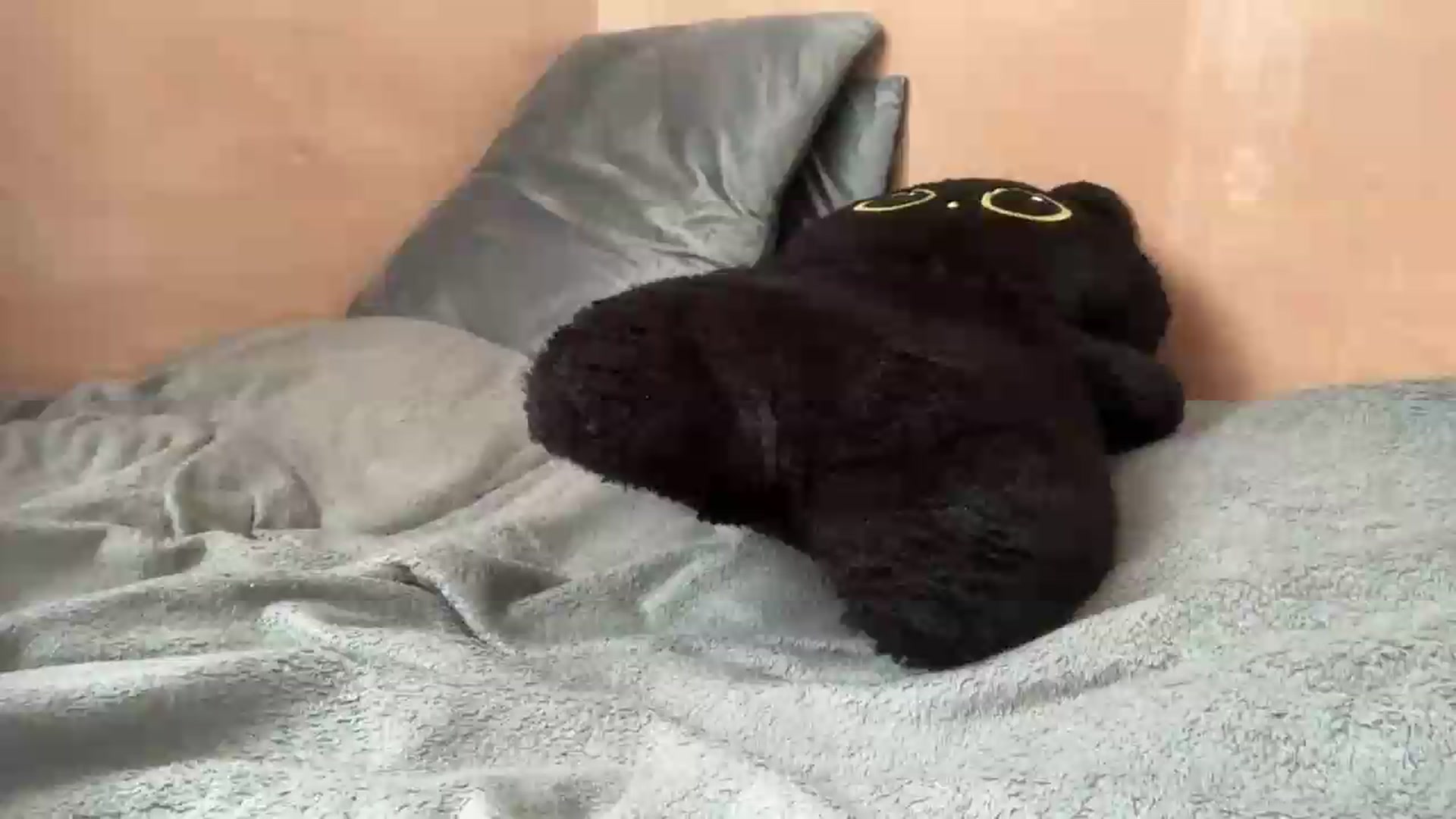 Gallery image thumbnail from EchidnaHeart's myfreecams stream on, 06/30/2026, 17:12 image 15 of 20