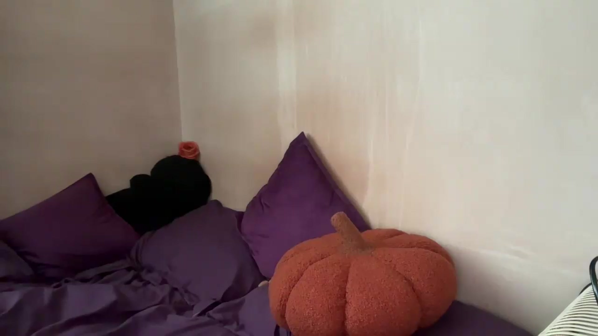 Gallery image thumbnail from EchidnaHeart's myfreecams stream on, 10/05/2026, 11:26 image 11 of 20