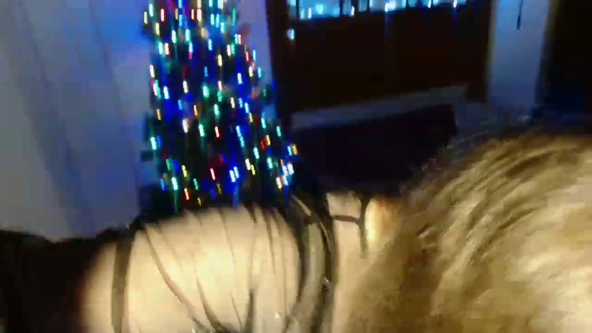 Gallery image thumbnail from EffyTudor's myfreecams stream on, 12/23/2022, 21:25 image 4 of 20