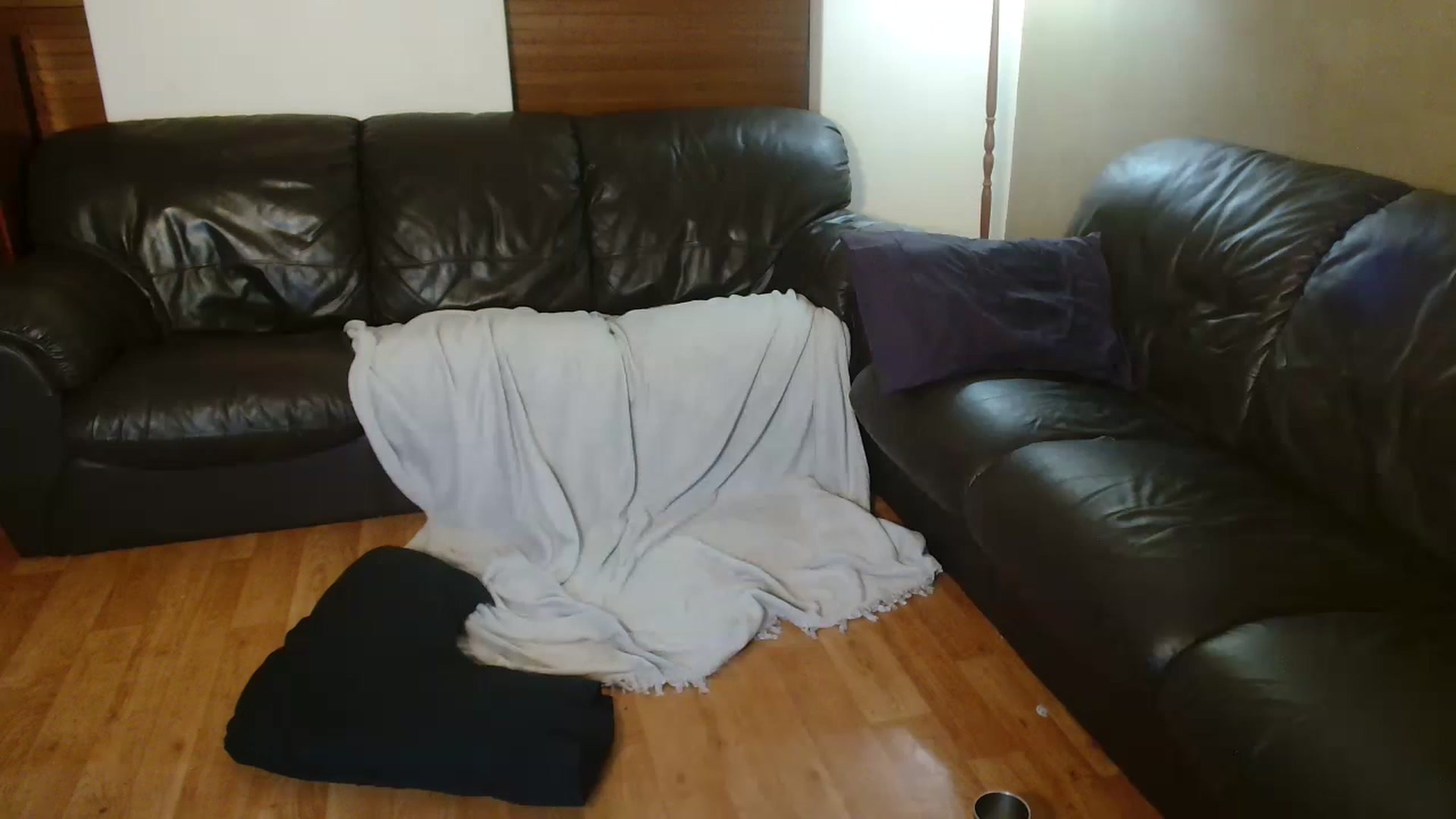 Gallery image thumbnail from EffyTudor's myfreecams stream on, 02/01/2023, 04:24 image 17 of 20