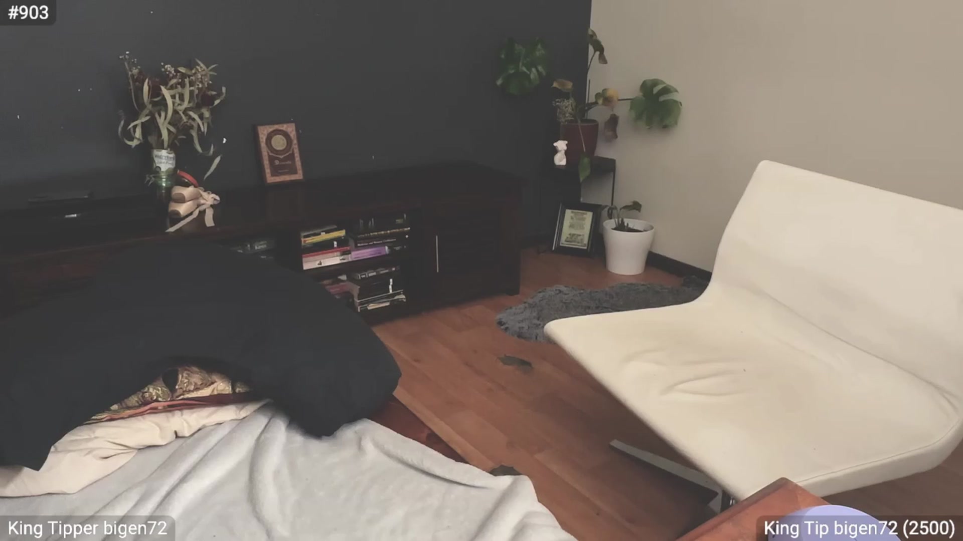 Gallery image thumbnail from EffyTudor's myfreecams stream on, 01/23/2024, 05:37 image 13 of 20
