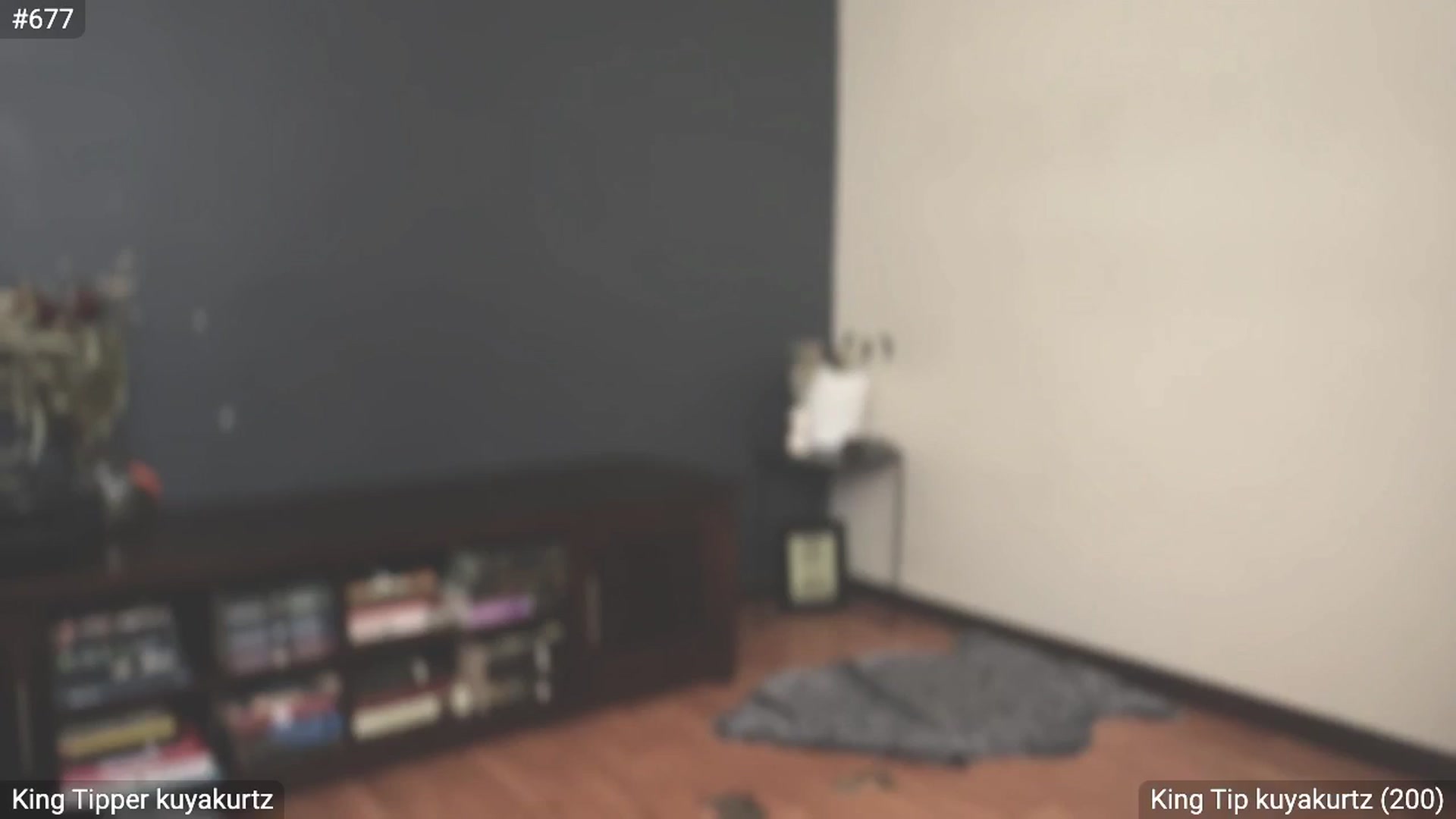 Gallery image thumbnail from EffyTudor's myfreecams stream on, 02/26/2024, 08:03 image 18 of 20