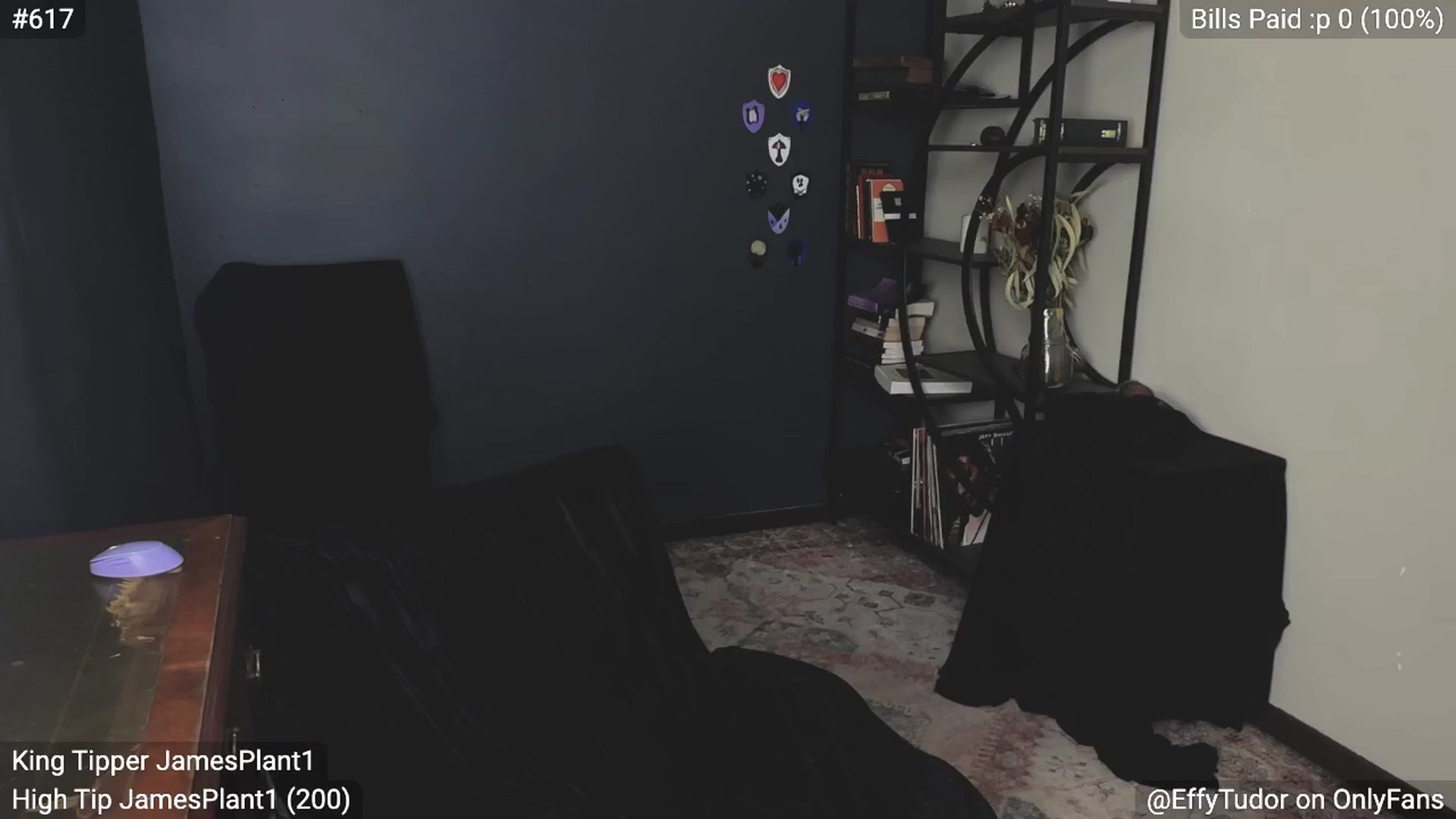 Gallery image thumbnail from EffyTudor's myfreecams stream on, 10/31/2024, 07:04 image 8 of 20