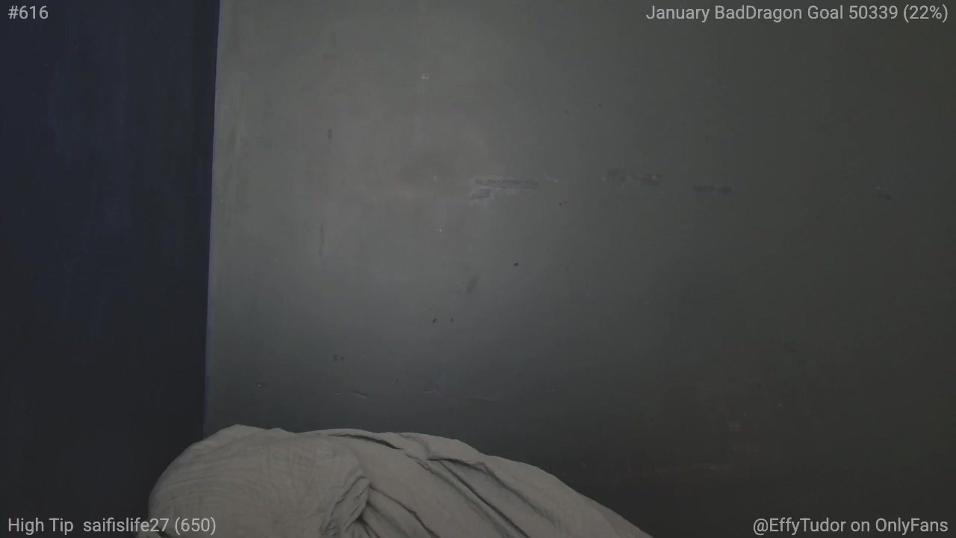 Gallery image thumbnail from EffyTudor's myfreecams stream on, 01/13/2025, 08:32 image 12 of 20