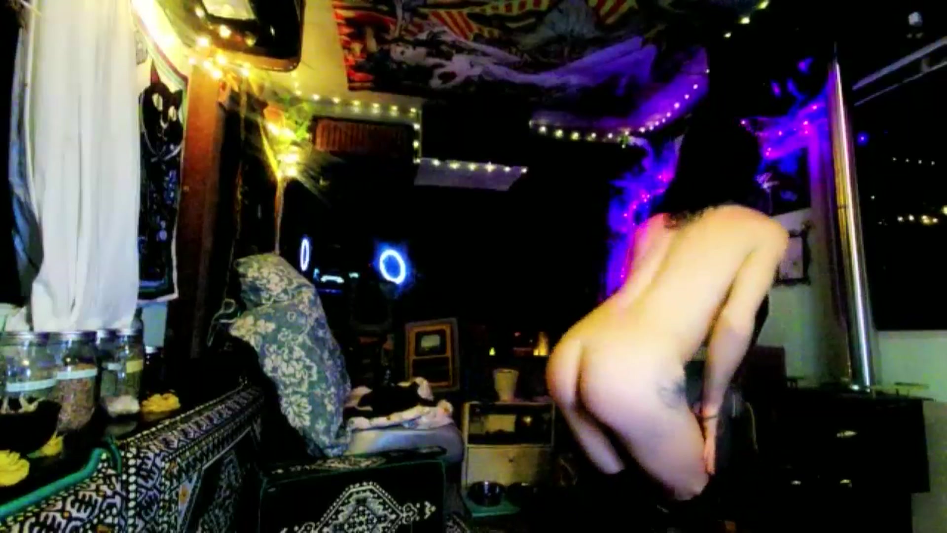 Gallery image thumbnail from Effykitty420's myfreecams stream on, 01/26/2025, 08:46 image 4 of 20
