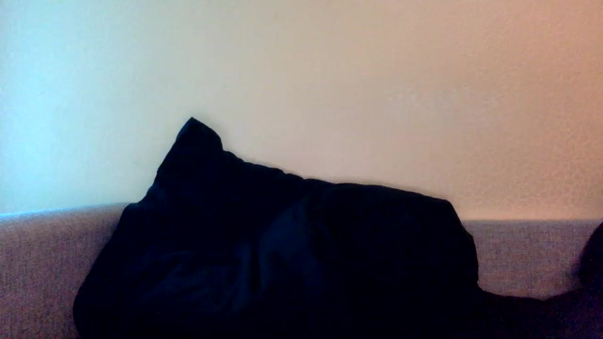 Gallery image thumbnail from EgoisticKitty's myfreecams stream on, 11/26/2022, 14:46 image 11 of 20