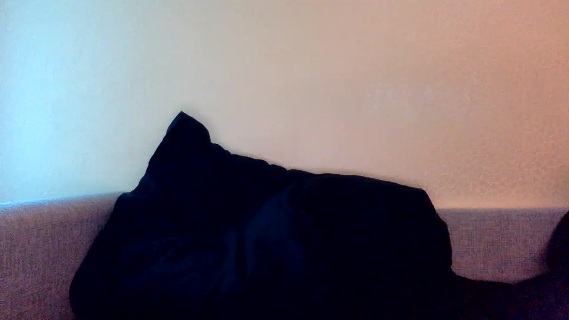 Gallery image thumbnail from EgoisticKitty's myfreecams stream on, 11/26/2022, 14:46 image 12 of 20