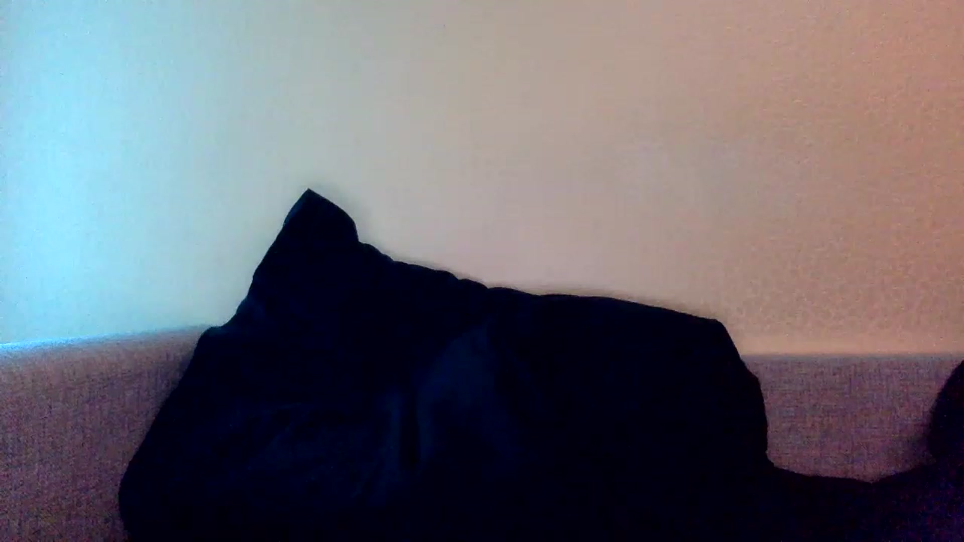 Gallery image thumbnail from EgoisticKitty's myfreecams stream on, 11/26/2022, 14:46 image 14 of 20