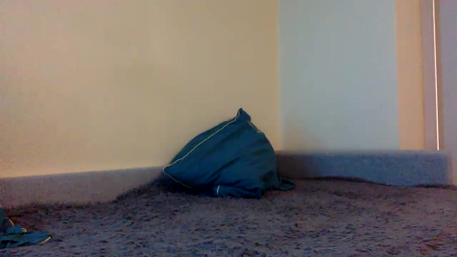 Gallery image thumbnail from EgoisticKitty's myfreecams stream on, 12/18/2022, 16:00 image 12 of 20
