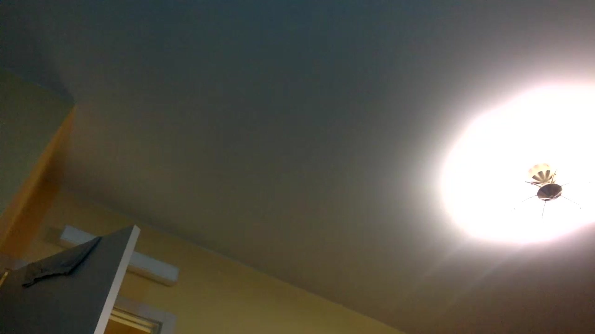 Gallery image thumbnail from EgoisticKitty's myfreecams stream on, 12/20/2022, 13:51 image 19 of 20