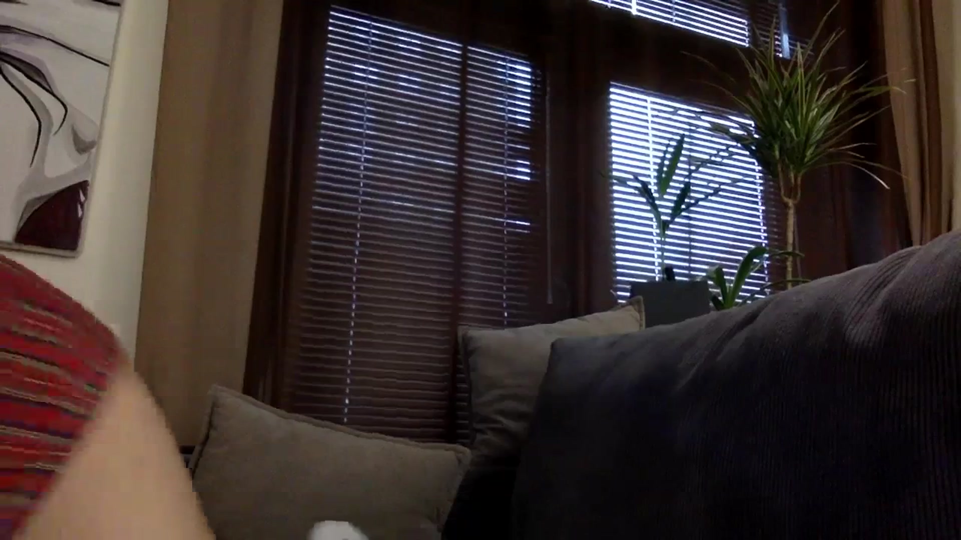 Gallery image thumbnail from EgoisticKitty's myfreecams stream on, 12/11/2023, 10:38 image 14 of 20