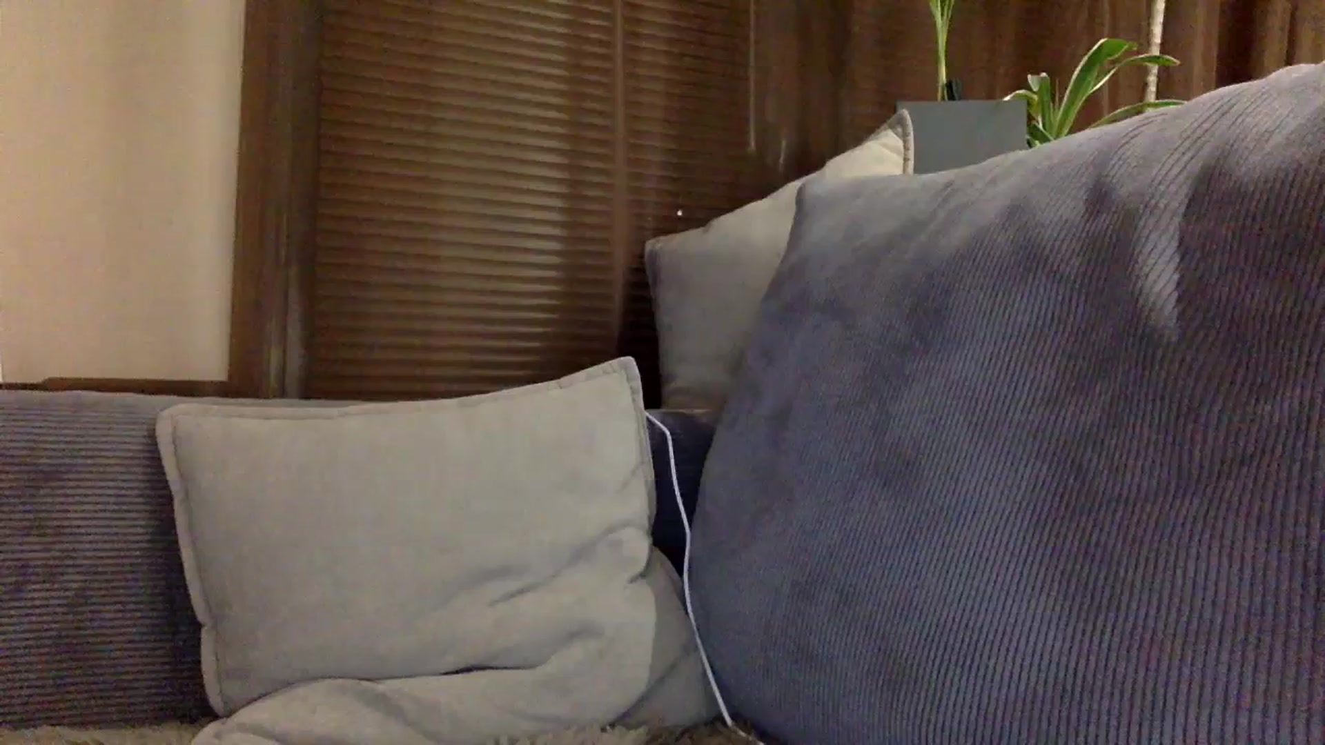Gallery image thumbnail from EgoisticKitty's myfreecams stream on, 12/13/2023, 14:59 image 14 of 20