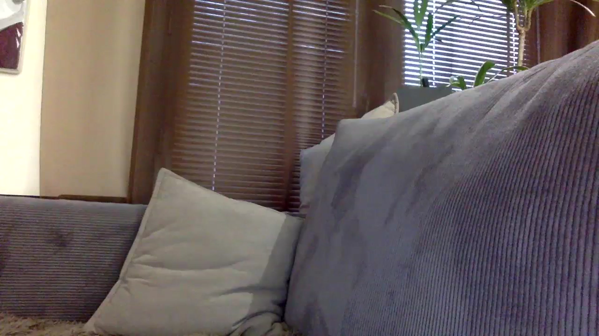 Gallery image thumbnail from EgoisticKitty's myfreecams stream on, 12/14/2023, 11:40 image 3 of 20