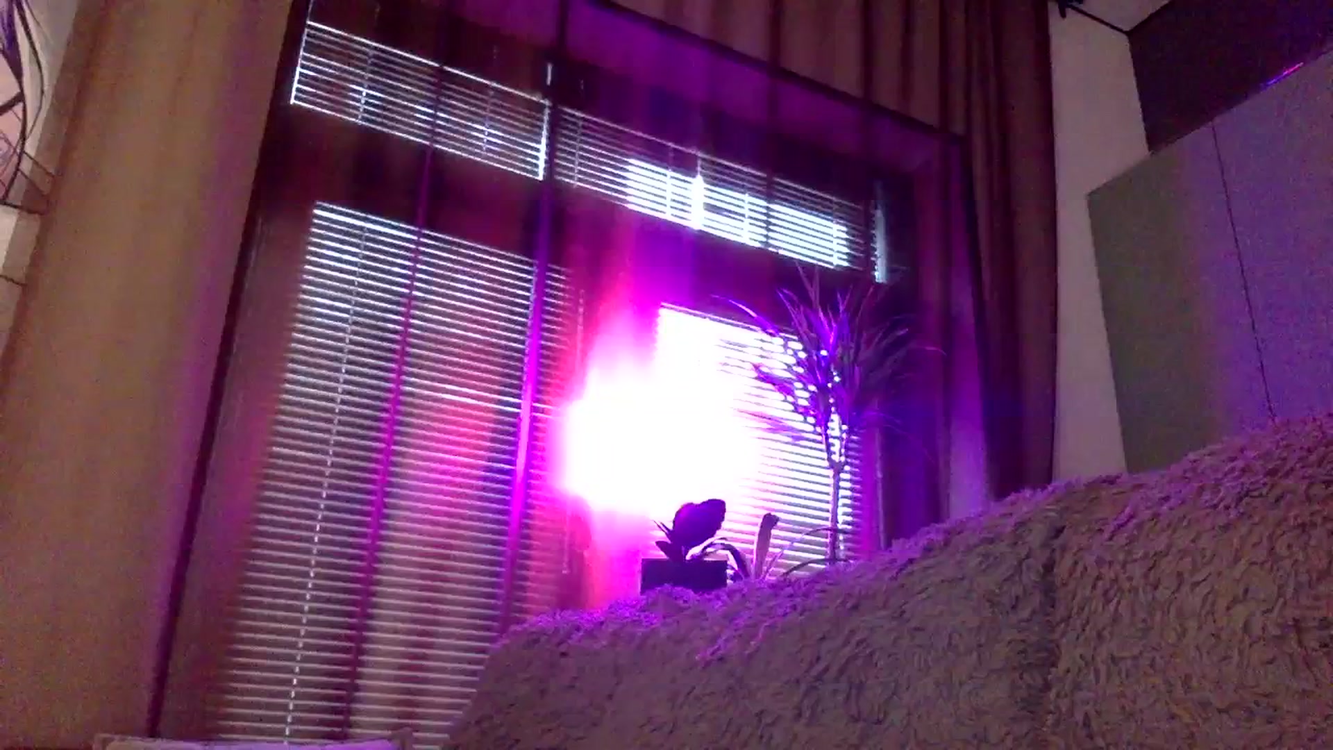 Gallery image thumbnail from EgoisticKitty's myfreecams stream on, 12/30/2023, 11:59 image 1 of 20