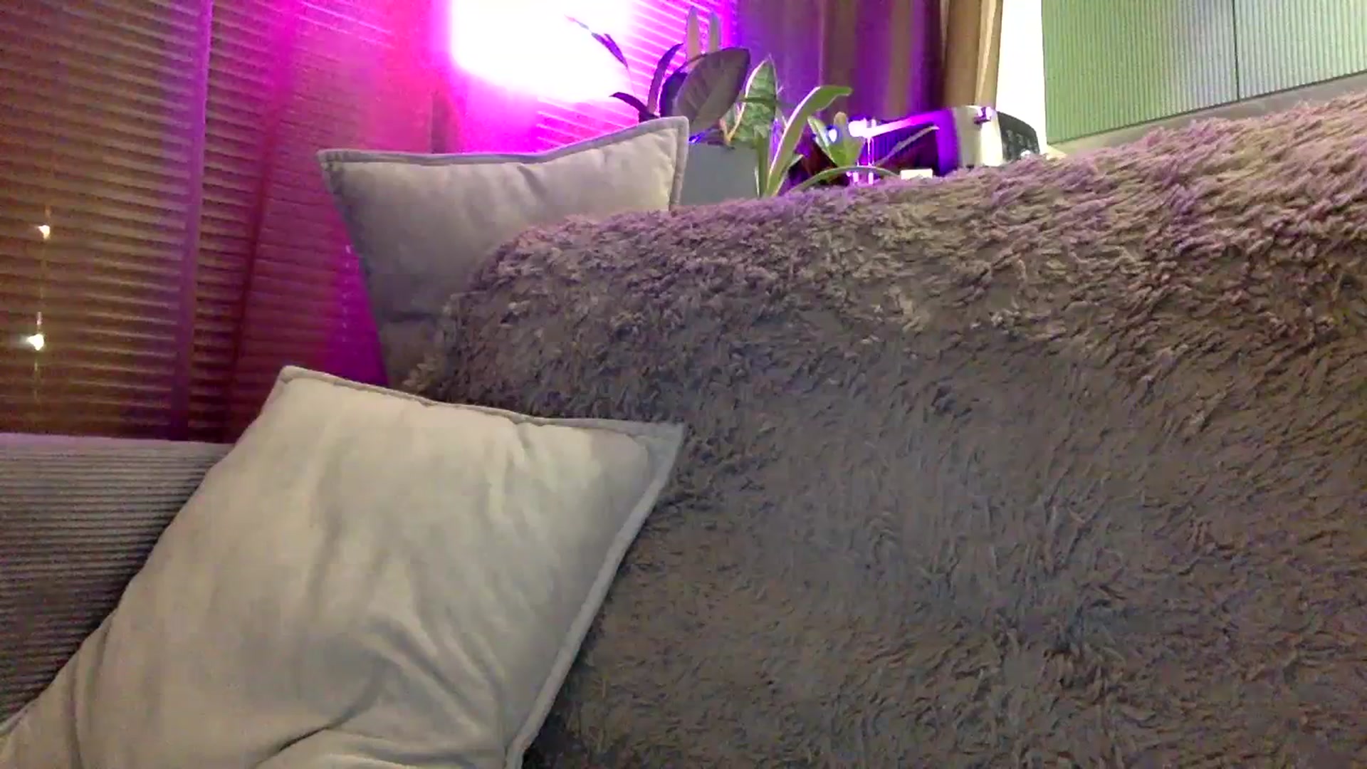 Gallery image thumbnail from EgoisticKitty's myfreecams stream on, 01/02/2024, 15:13 image 8 of 20