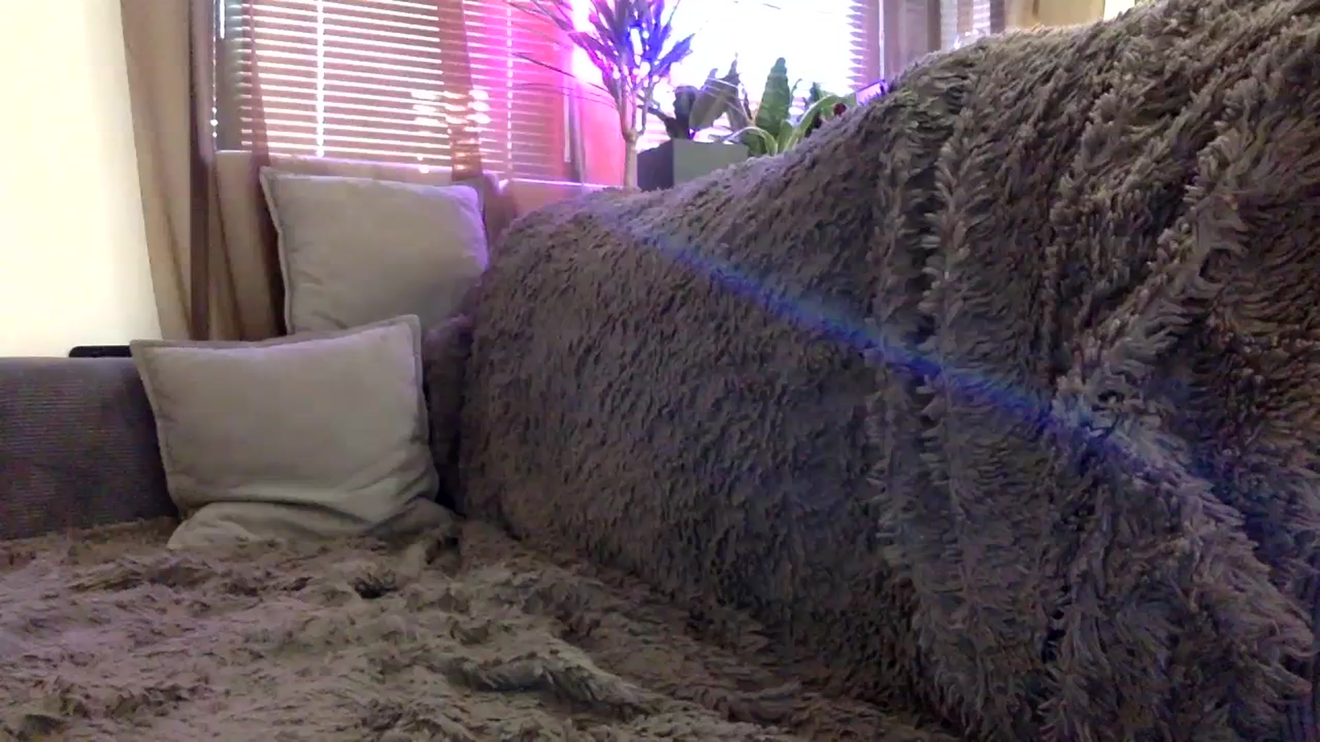 Gallery image thumbnail from EgoisticKitty's myfreecams stream on, 01/12/2024, 10:21 image 14 of 20