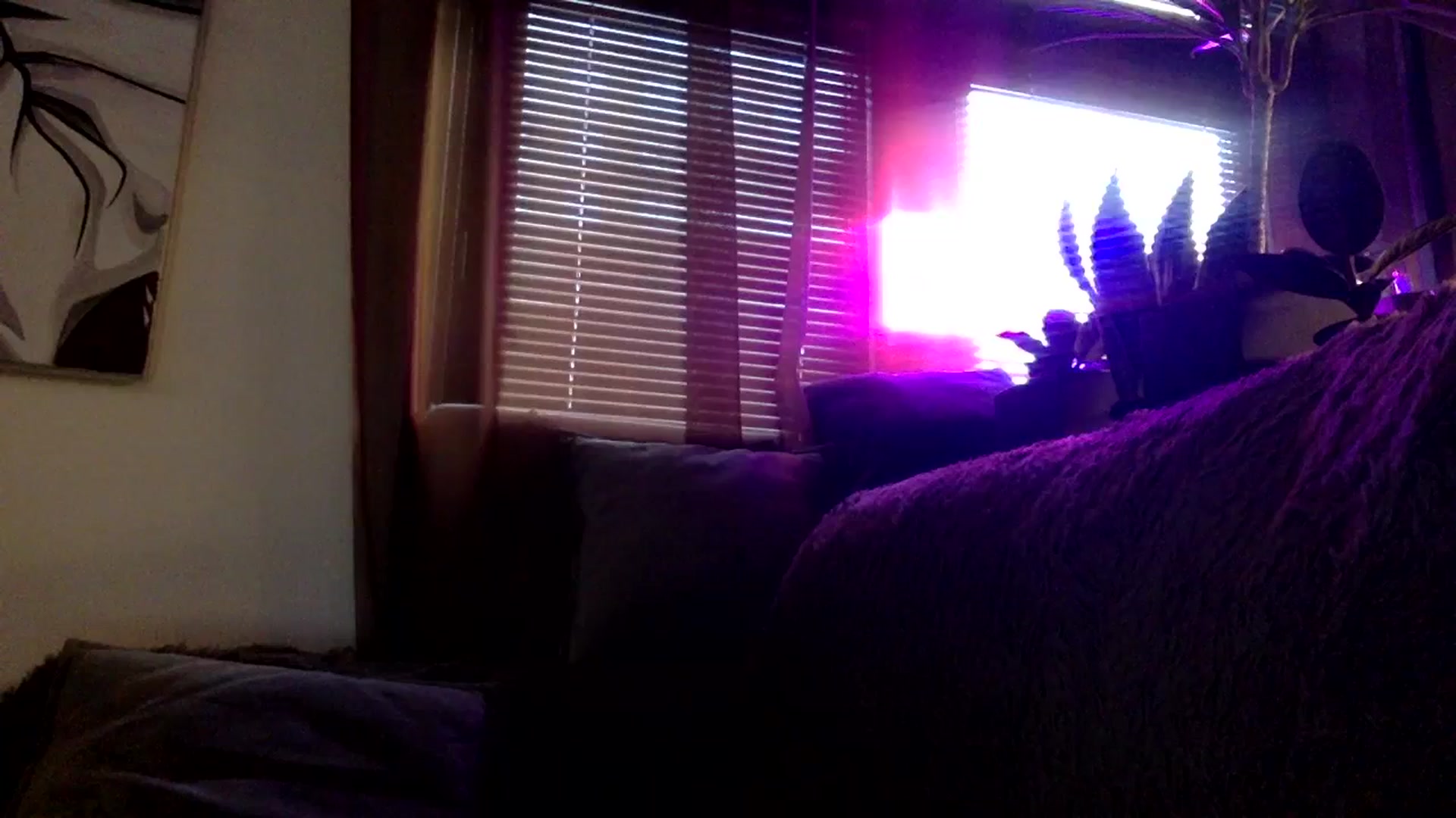 Gallery image thumbnail from EgoisticKitty's myfreecams stream on, 01/20/2024, 08:34 image 3 of 20
