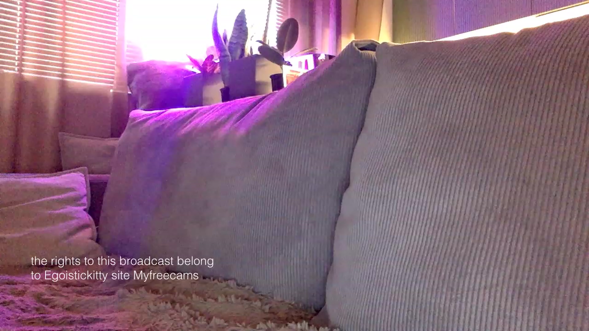 Gallery image thumbnail from EgoisticKitty's myfreecams stream on, 01/24/2024, 10:57 image 8 of 20