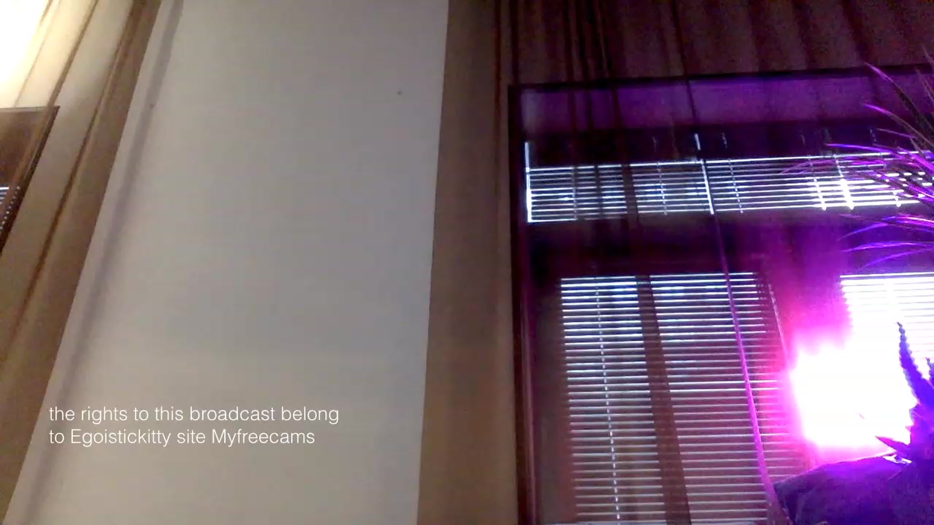 Gallery image thumbnail from EgoisticKitty's myfreecams stream on, 01/25/2024, 11:30 image 15 of 20