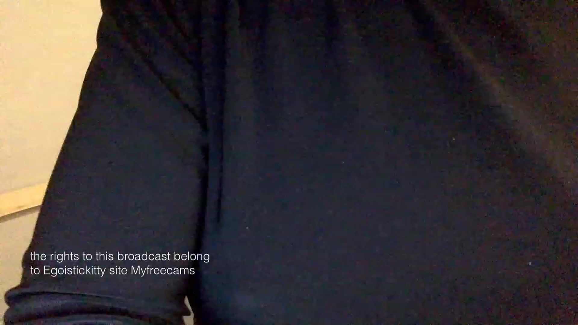 Gallery image thumbnail from EgoisticKitty's myfreecams stream on, 02/02/2024, 11:27 image 20 of 20