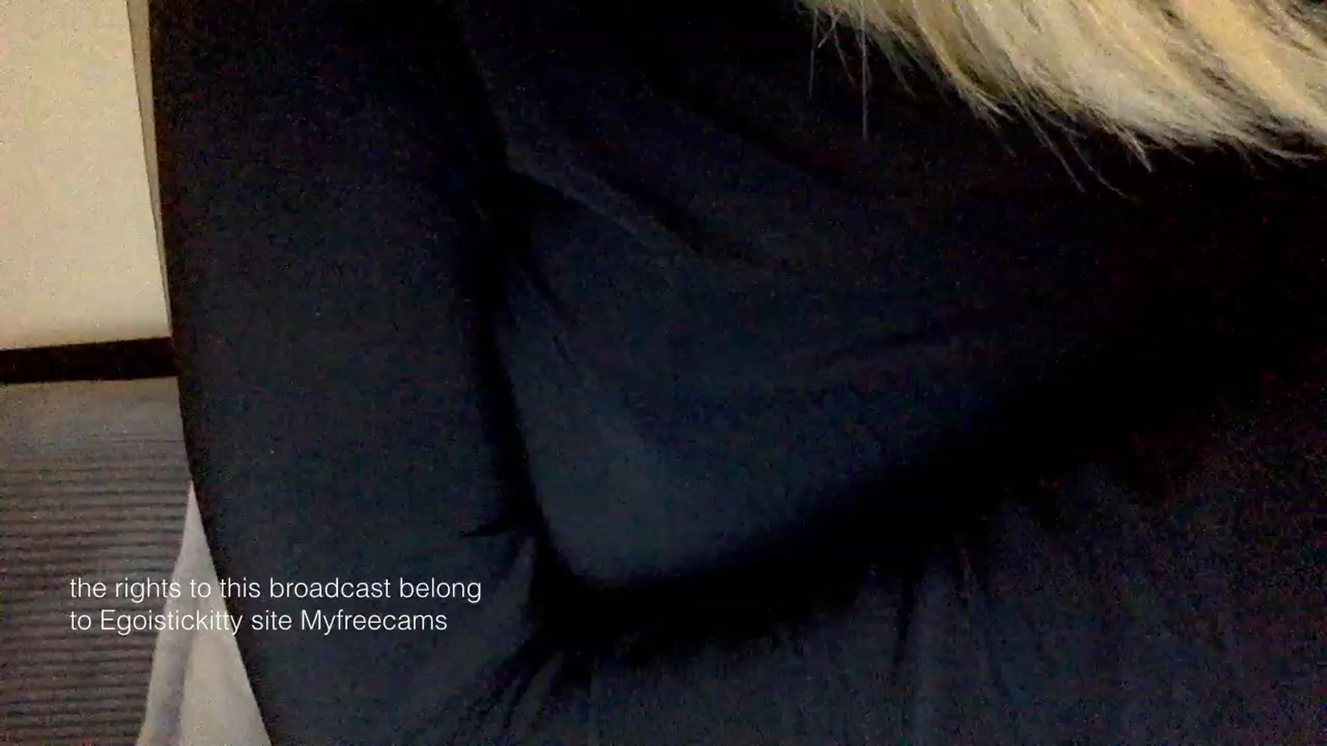 Gallery image thumbnail from EgoisticKitty's myfreecams stream on, 02/03/2024, 12:33 image 8 of 20