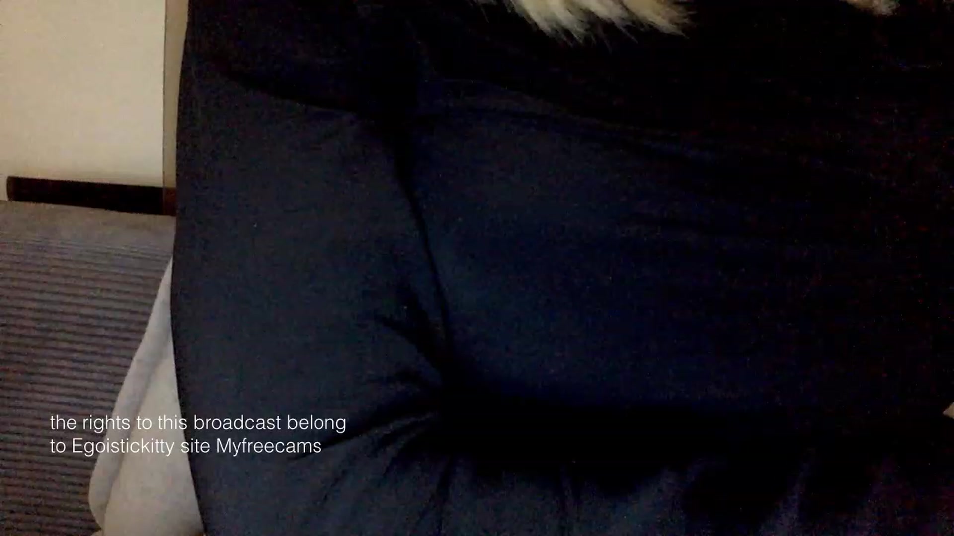 Gallery image thumbnail from EgoisticKitty's myfreecams stream on, 02/03/2024, 12:33 image 15 of 20