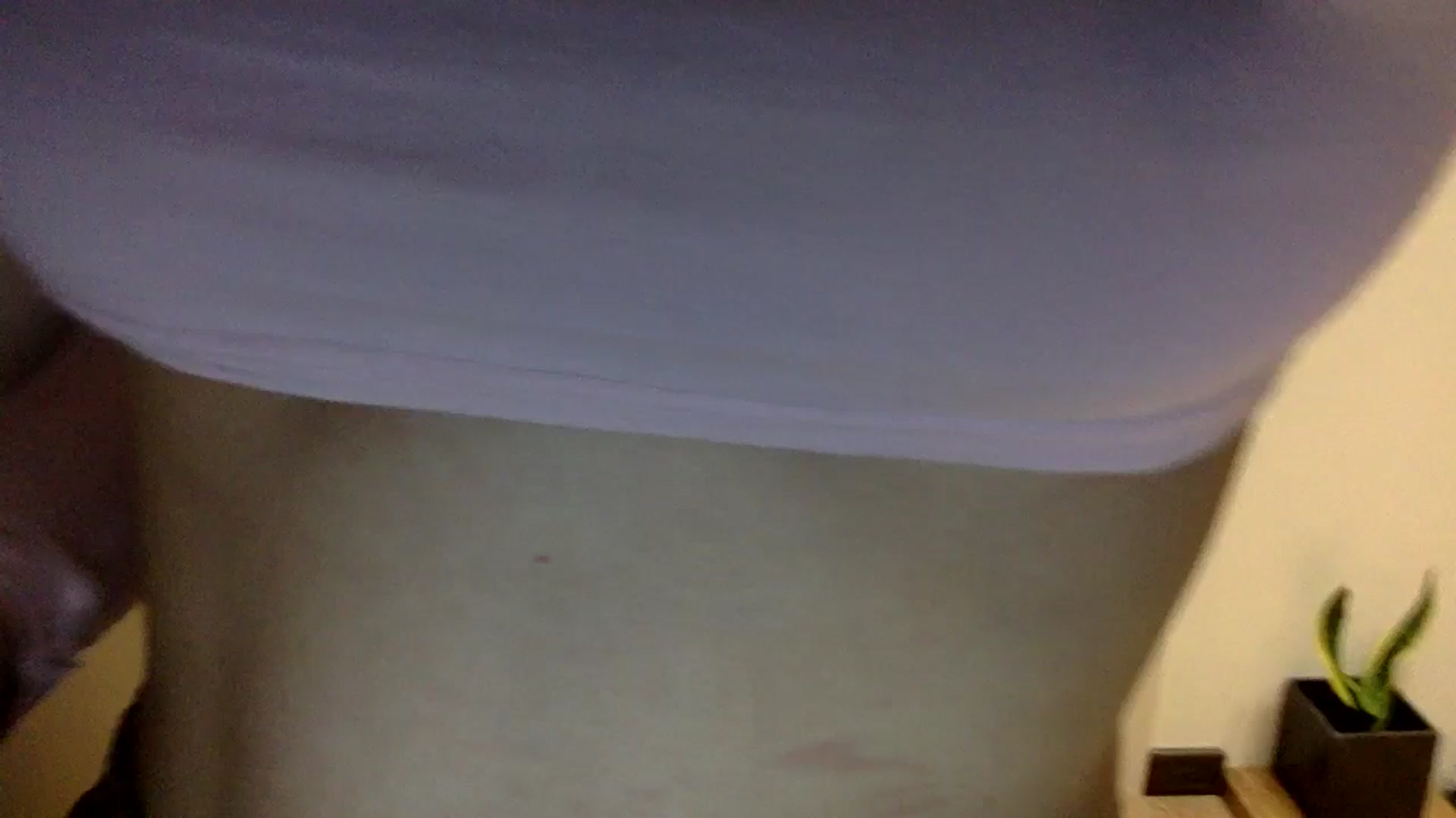 Gallery image thumbnail from EgoisticKitty's myfreecams stream on, 06/24/2024, 12:43 image 20 of 20