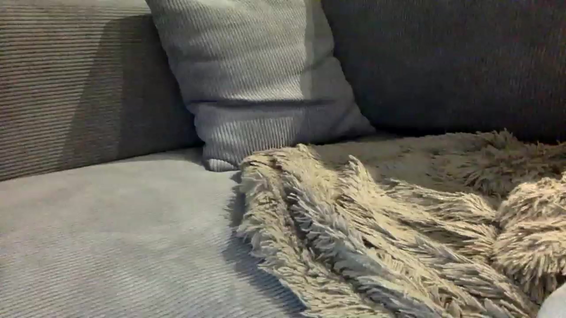 Gallery image thumbnail from EgoisticPuss's myfreecams stream on, 02/23/2023, 11:14 image 14 of 20