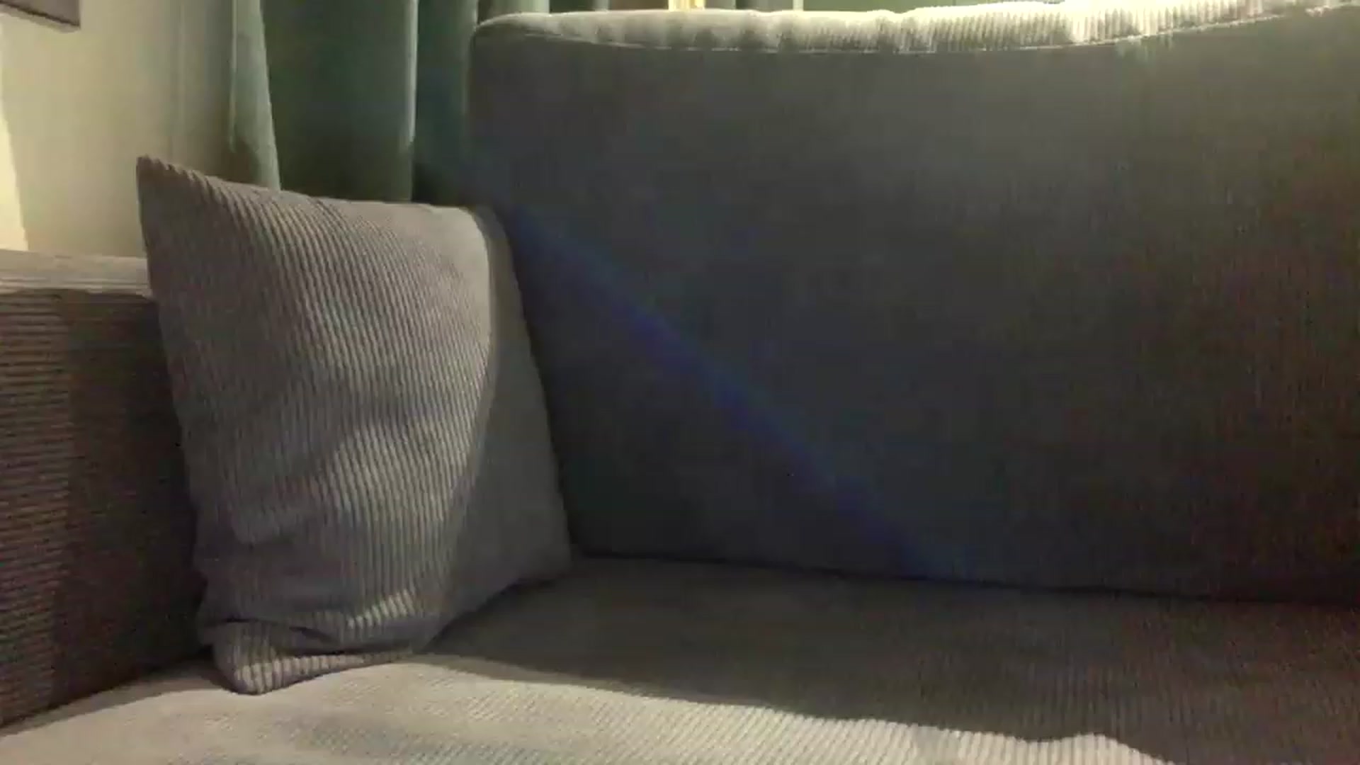 Gallery image thumbnail from EgoisticPuss's myfreecams stream on, 02/28/2023, 17:04 image 1 of 20